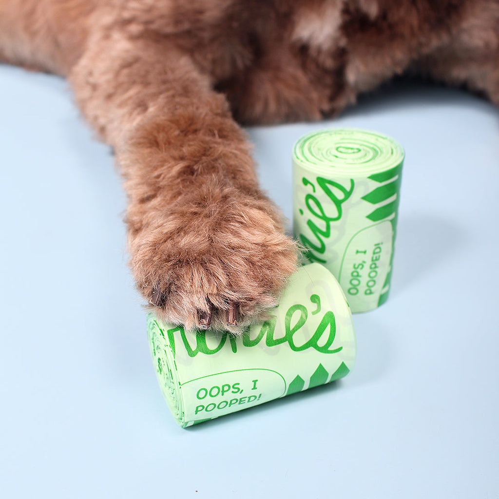 Are Compostable Dog Waste Bags Really Biodegradable? What Eco-Conscious Pet Owners Should Know