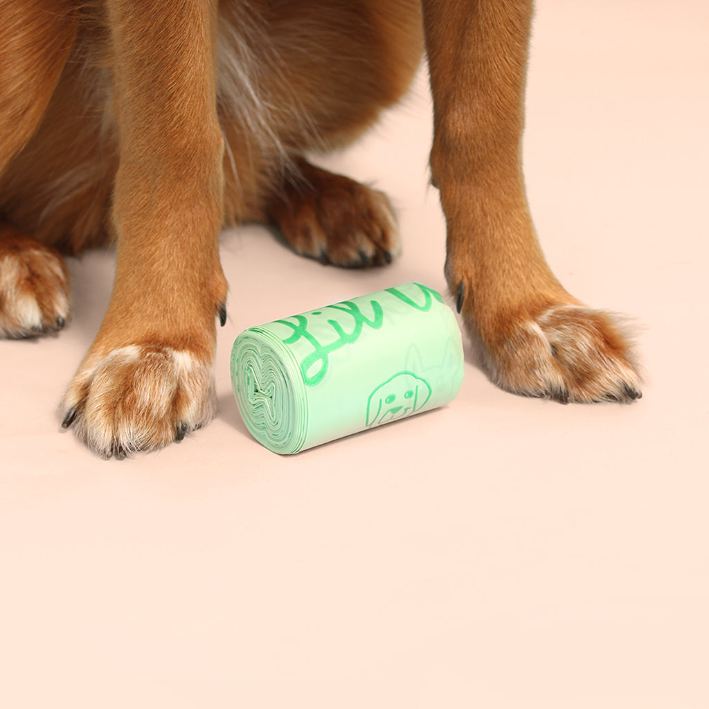 The Ultimate Guide to Composting Dog Waste: Turning Pet Waste into Plant Food