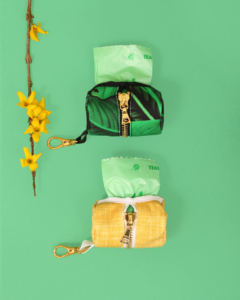 Modern & Sustainable: Innovative Trends in Eco-Friendly Dog Accessories for 2025