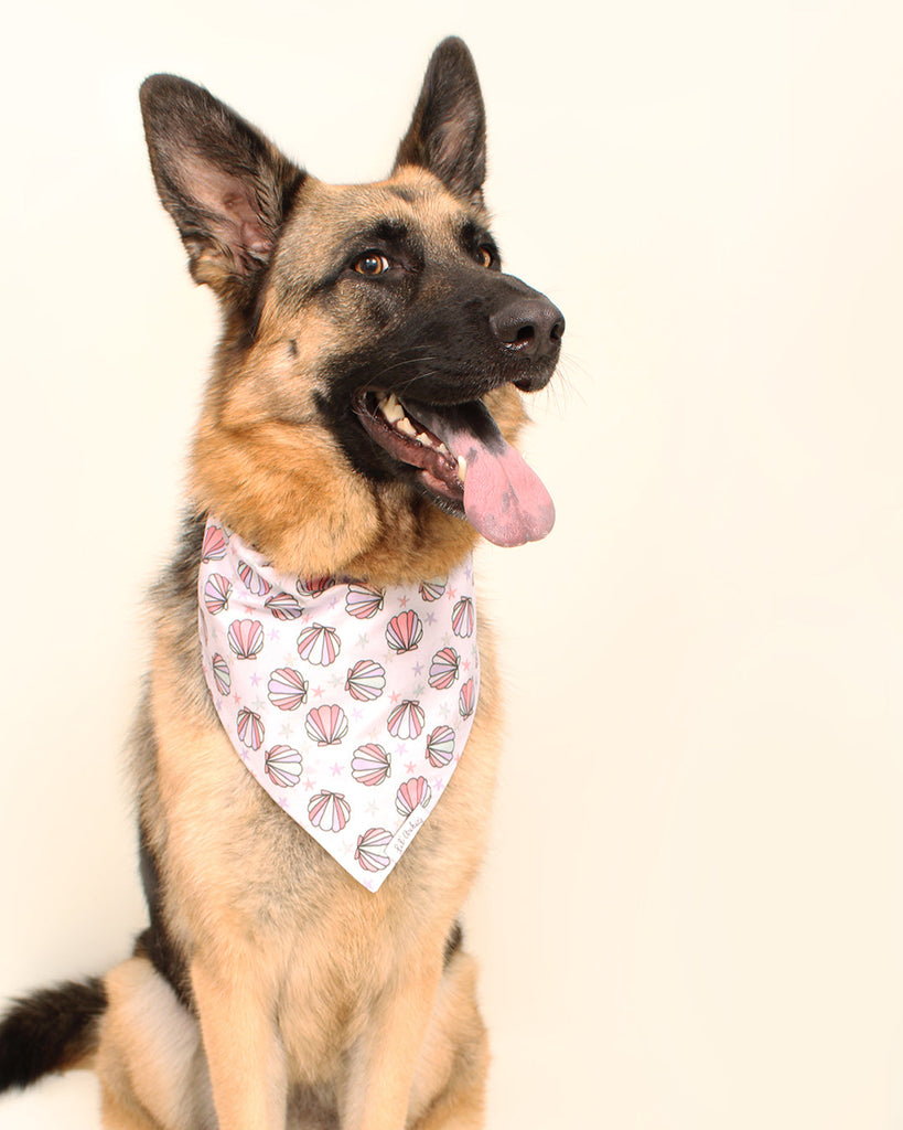 Eco Meets Economy: How USA-Made Organic Cotton Knits, Digital Printing, Recycled Materials & Compostable Dog Bags Benefit You and the Planet