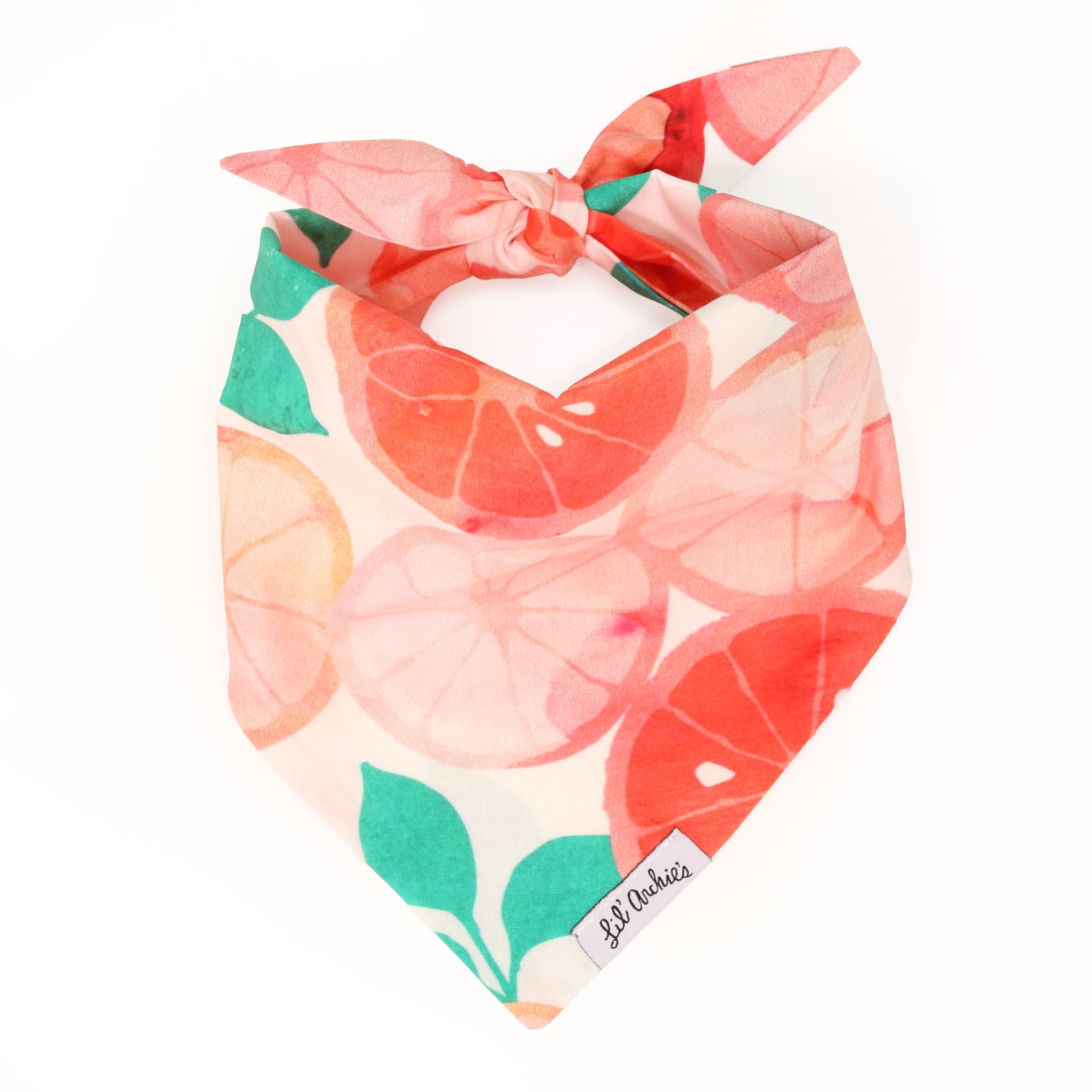 Citrus Grove- Dog Bandana
