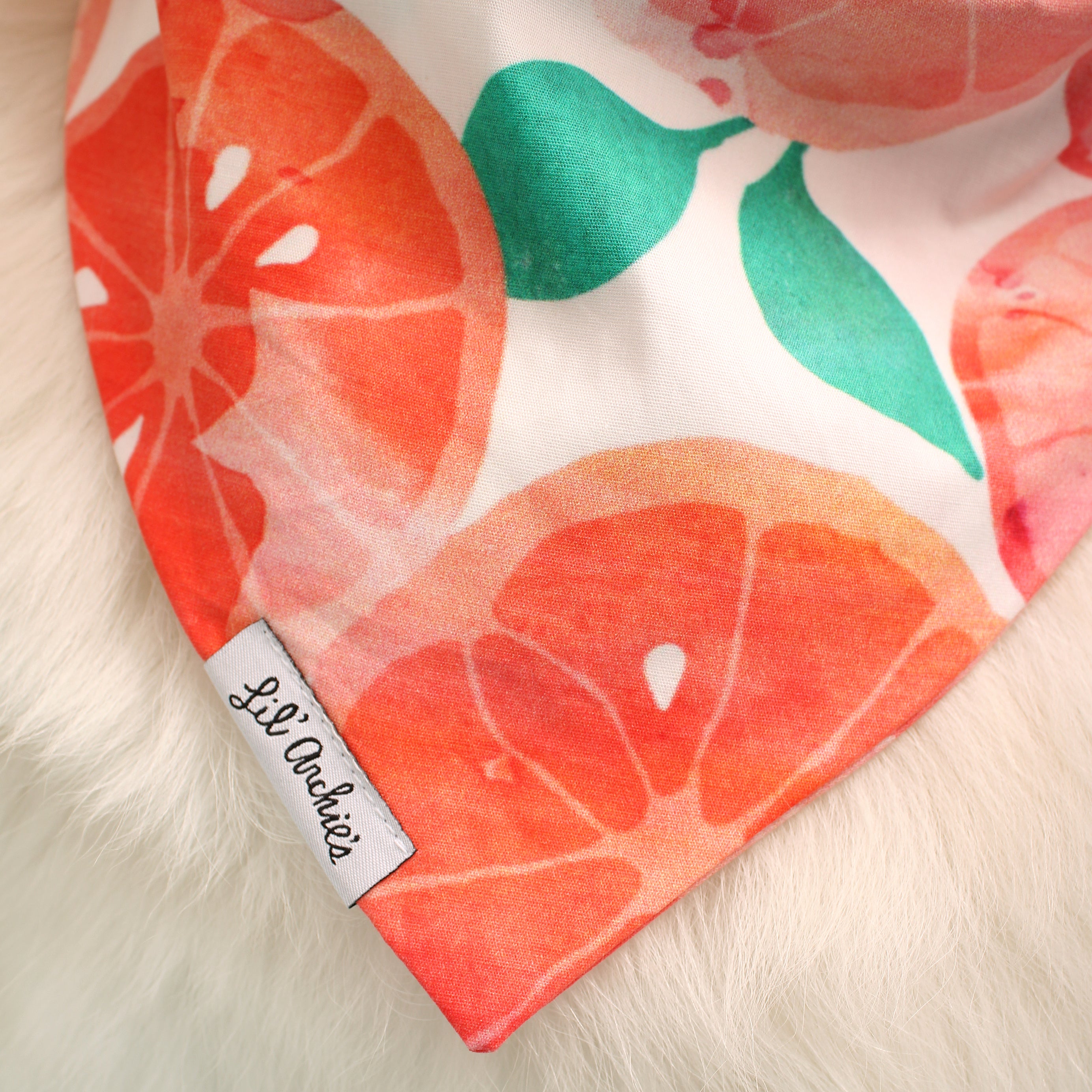 Citrus Grove- Dog Bandana