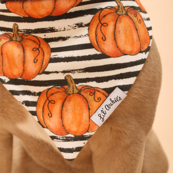 thumbnail image 2 of Spooky Pumpkin Halloween Dog Bandana - Dudiedog 2 of 13