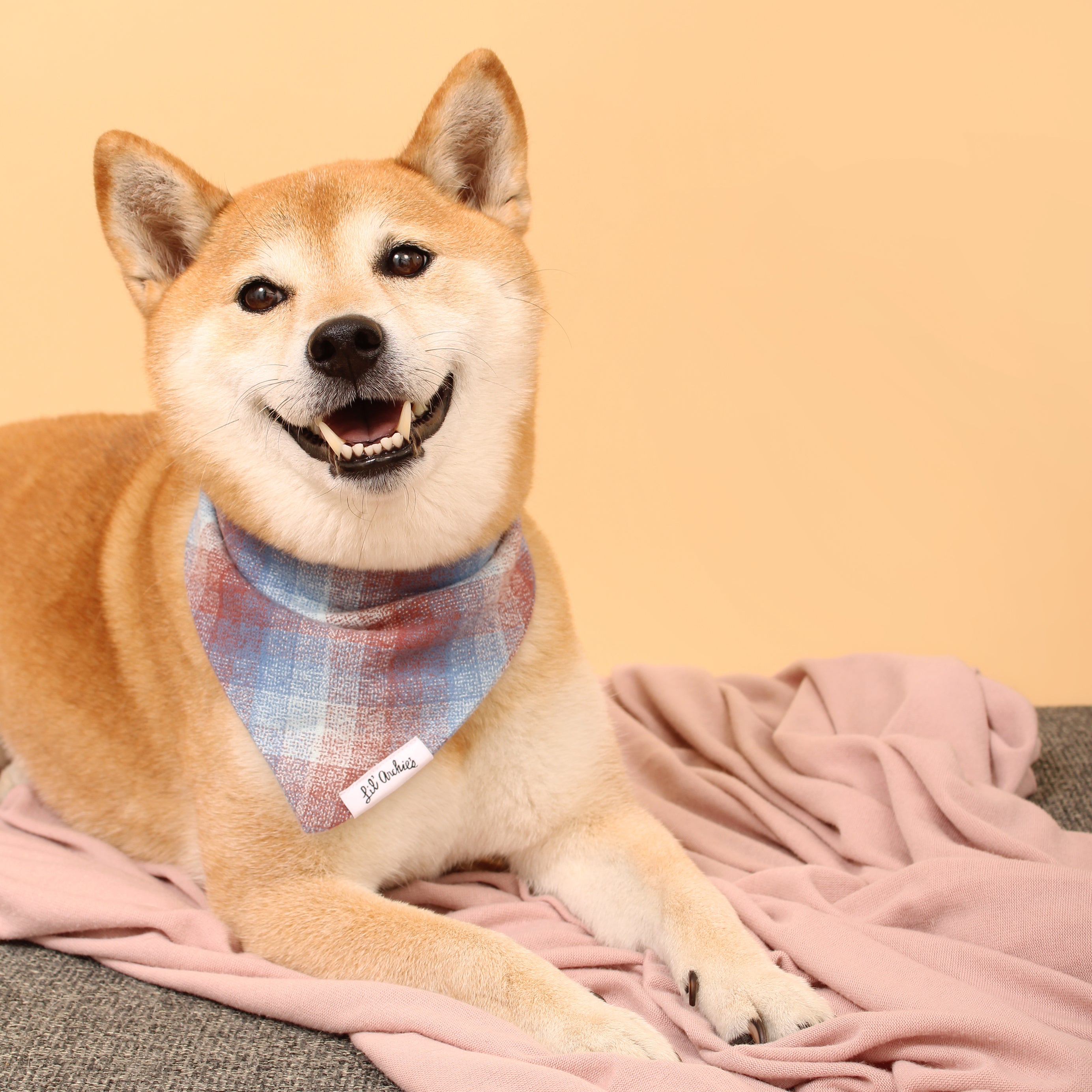 Dreamy Plaid Flannel - Dog Bandana