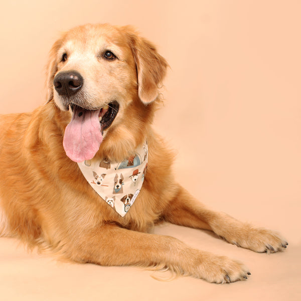 DOGSlifestyle-IMAGES-Website-