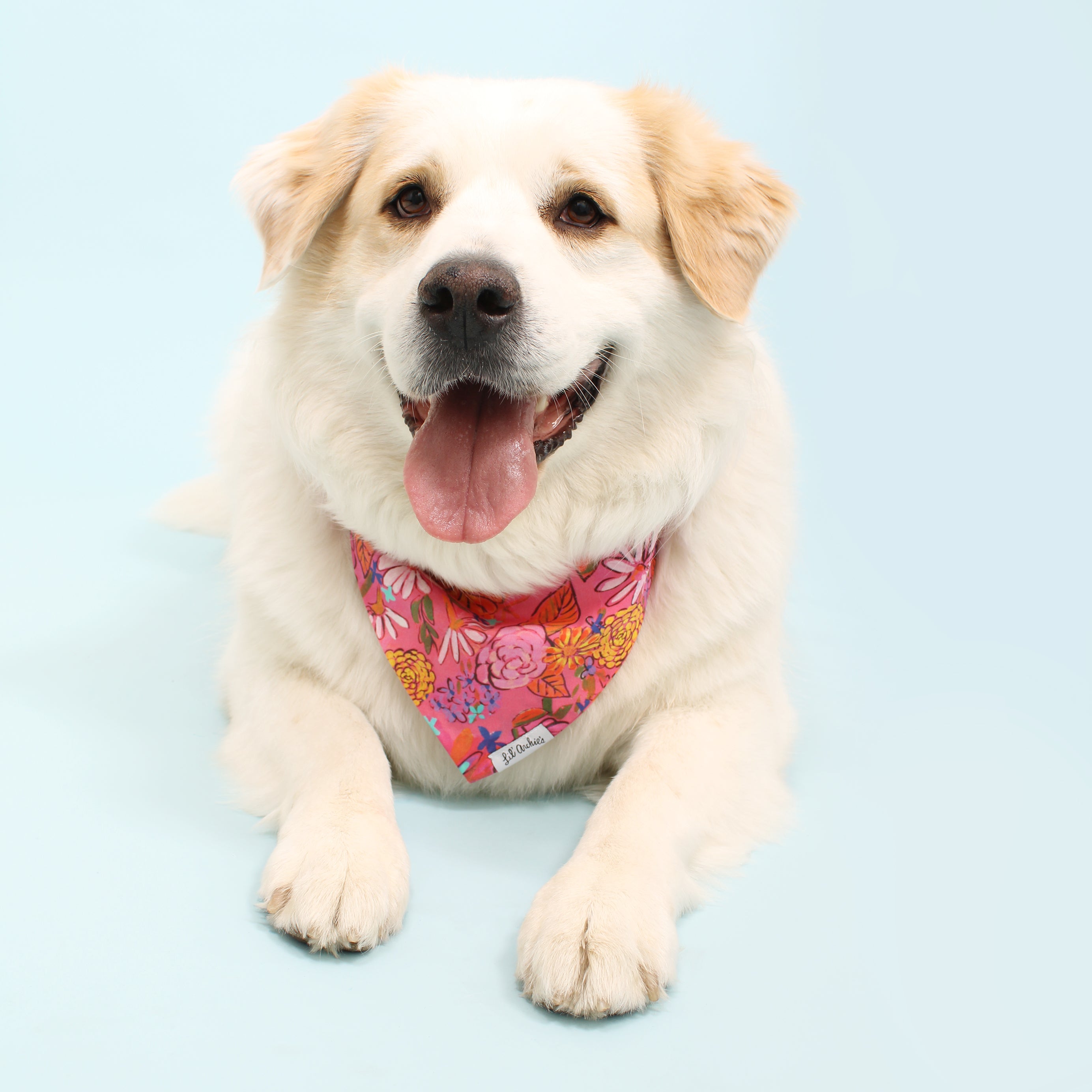 Electric Hot Florals - Dog Bandana