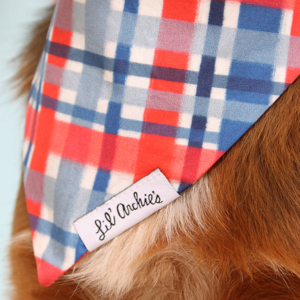 Firework Plaid - Slimline Dog Bandana – Lil' Archie's