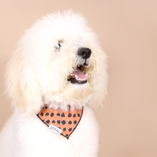 Gold Knit - Dog Bandana