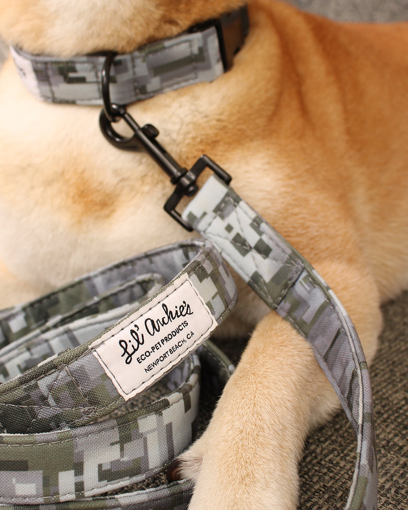 From Landfill to Leash: How Recycled Materials Become Sustainable Dog Accessories Made in the USA
