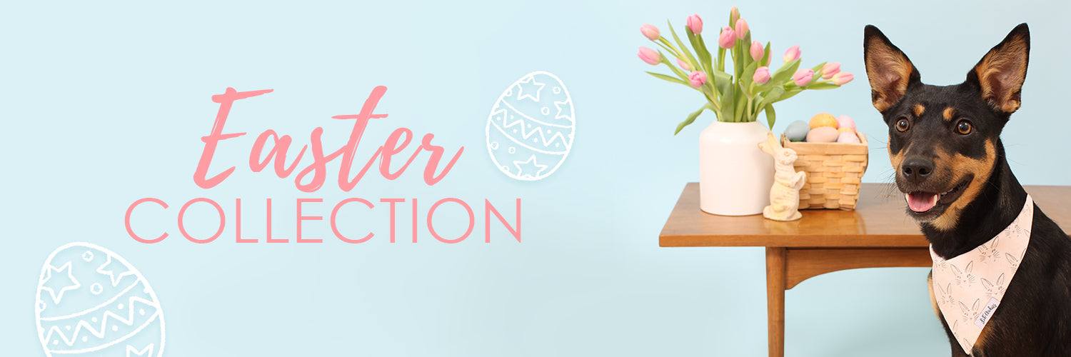 Easter Collection Dog Accessories