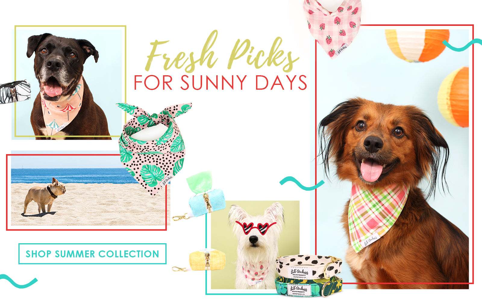 Eco Friendly Pet Products & Lil' Archie's