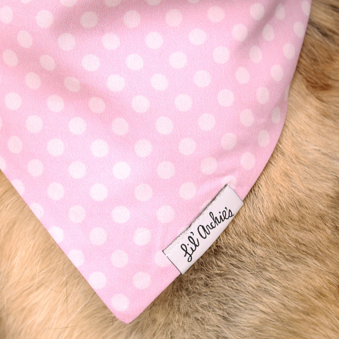 Violet Dot - Slimline Dog Bandana