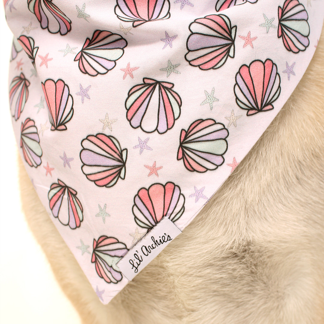 Collecting Seashells - Dog Bandana