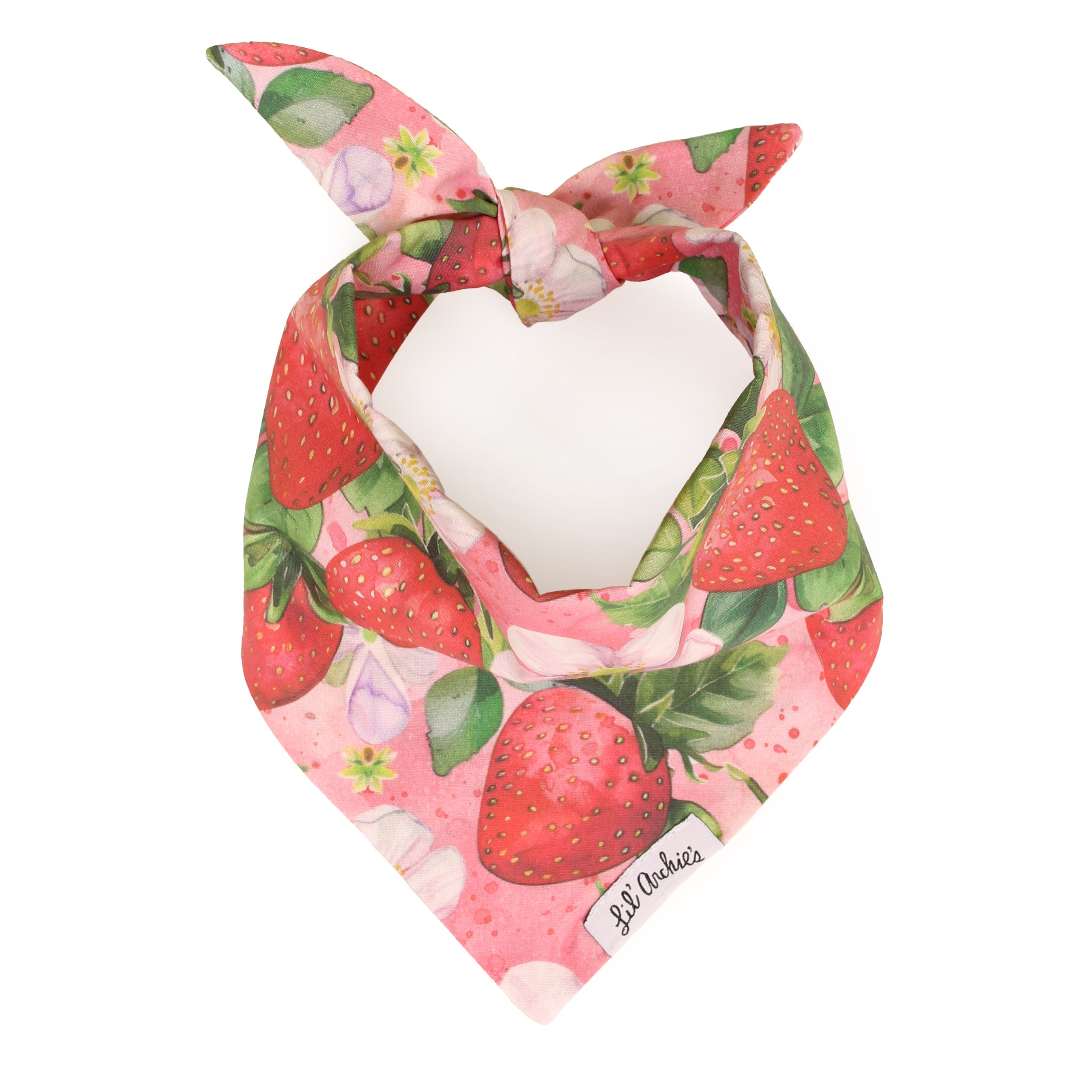 Bloomin' Strawberries - Dog Bandana
