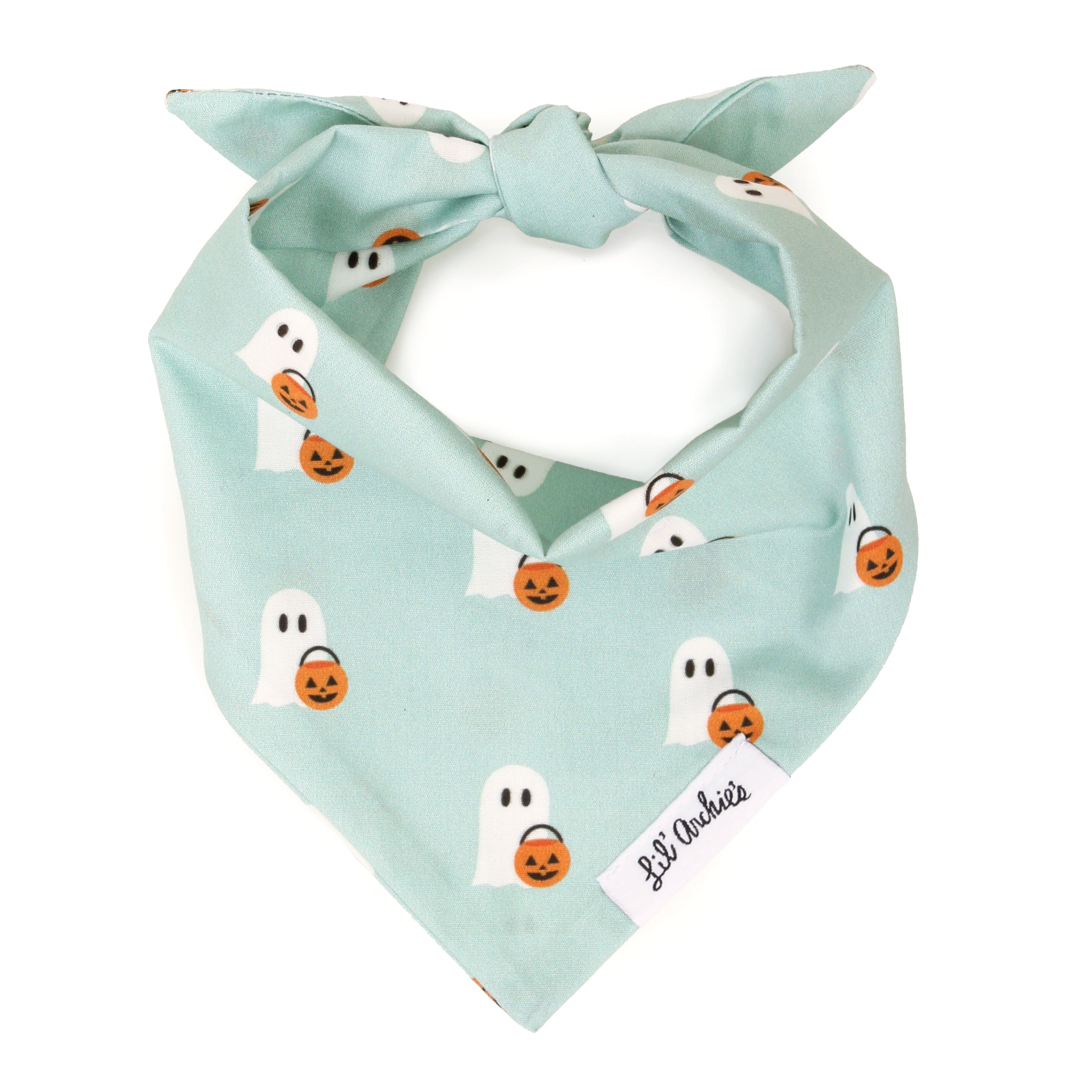 Ghostly Night- Dog Bandana