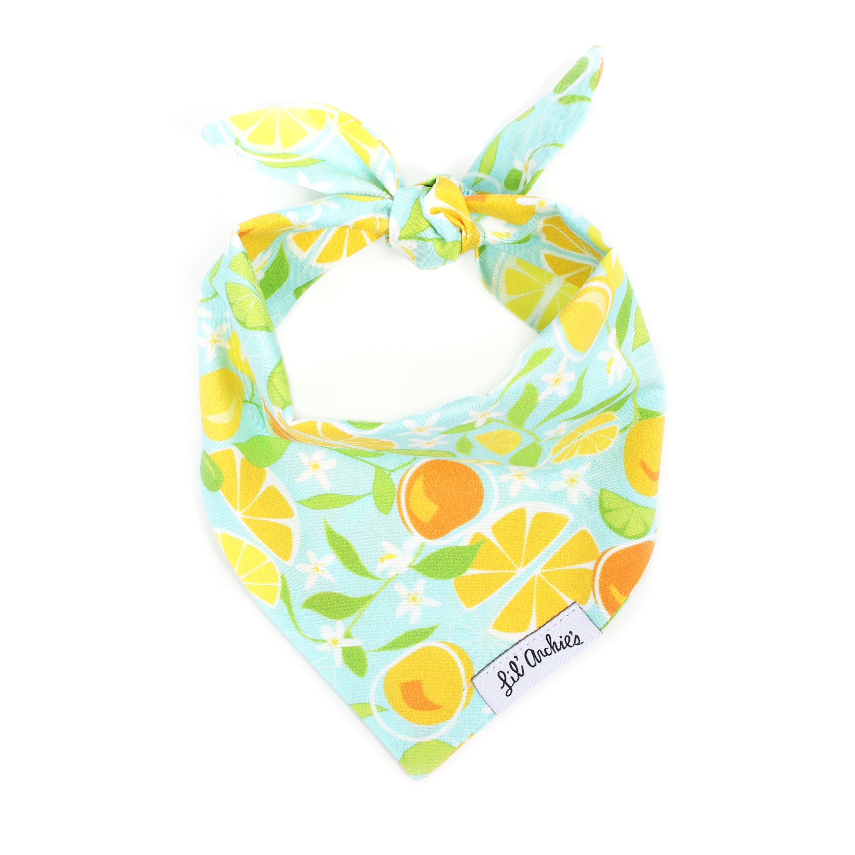 Juicy Fruit - Dog Bandana