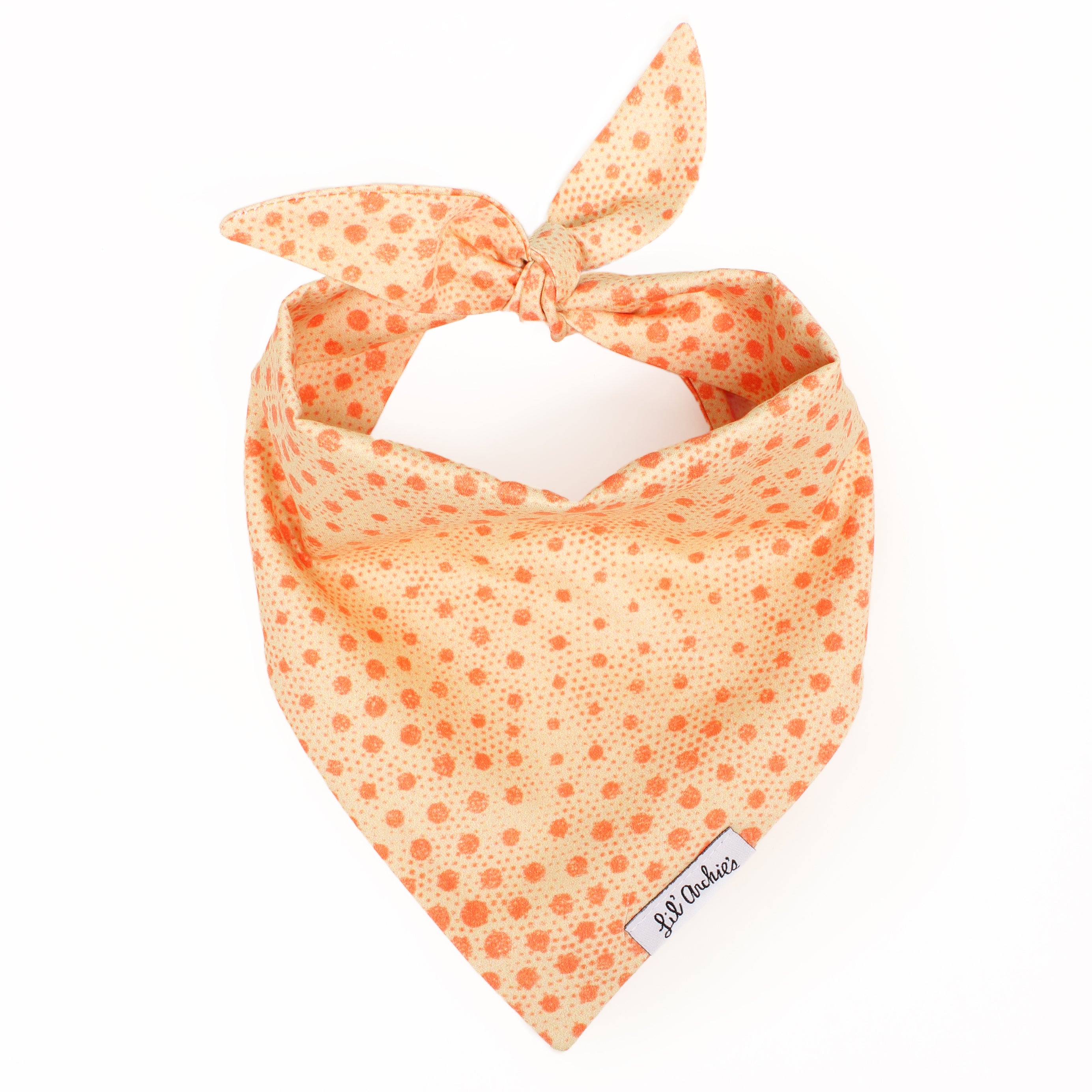 Sun Spot- Dog Bandana