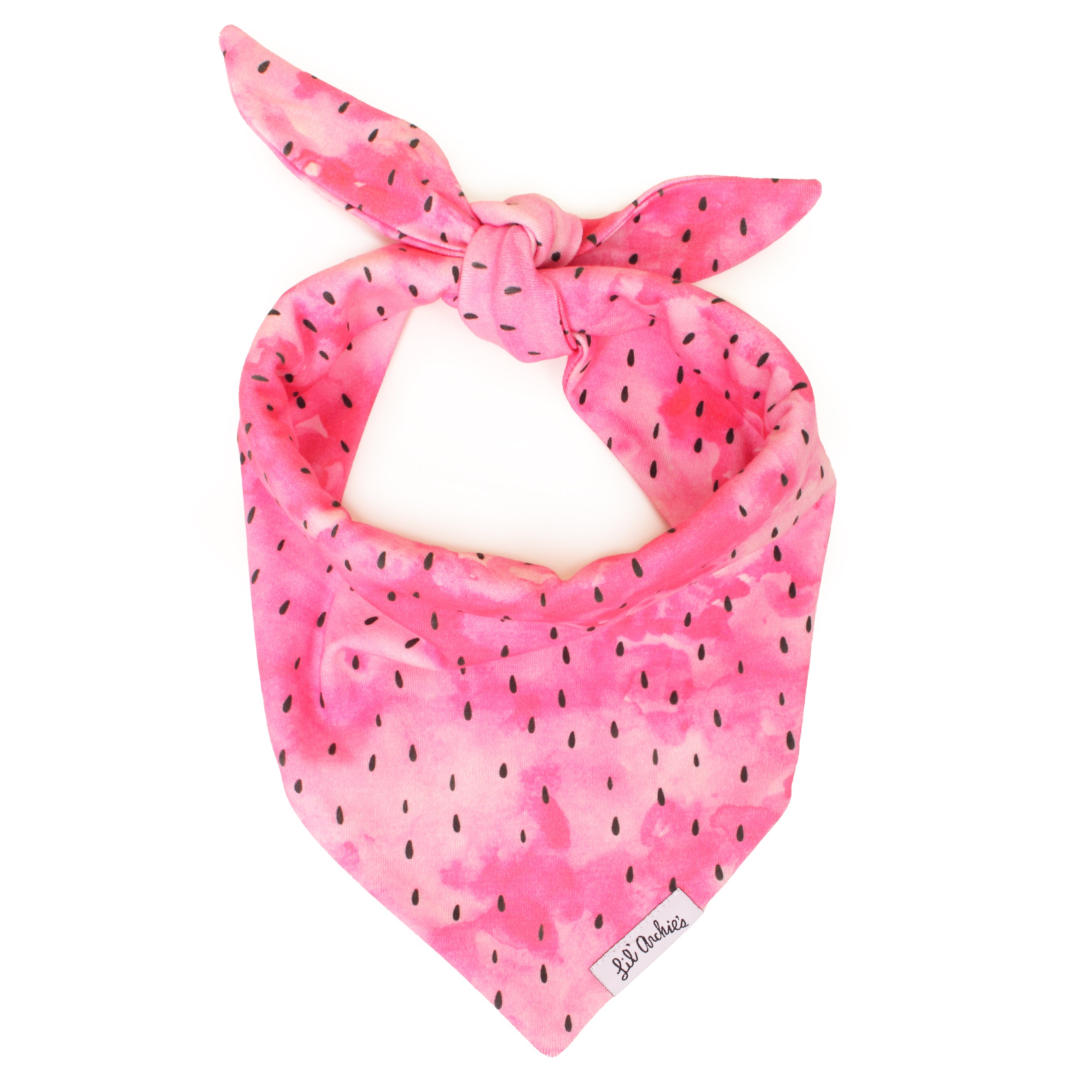 Juicy Bite- Dog Bandana