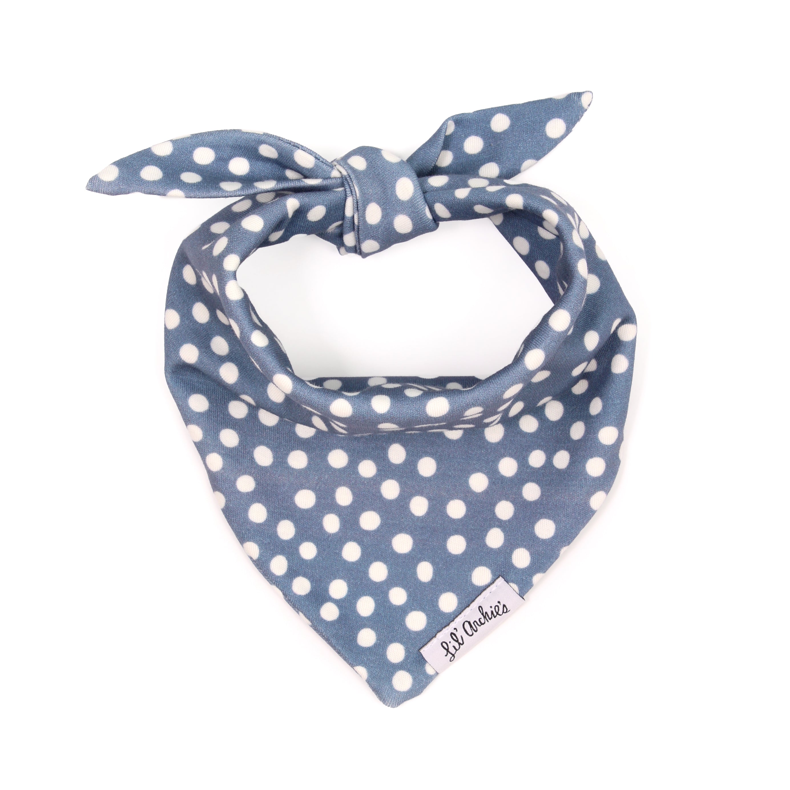 Blueberry Dot - Dog Bandana