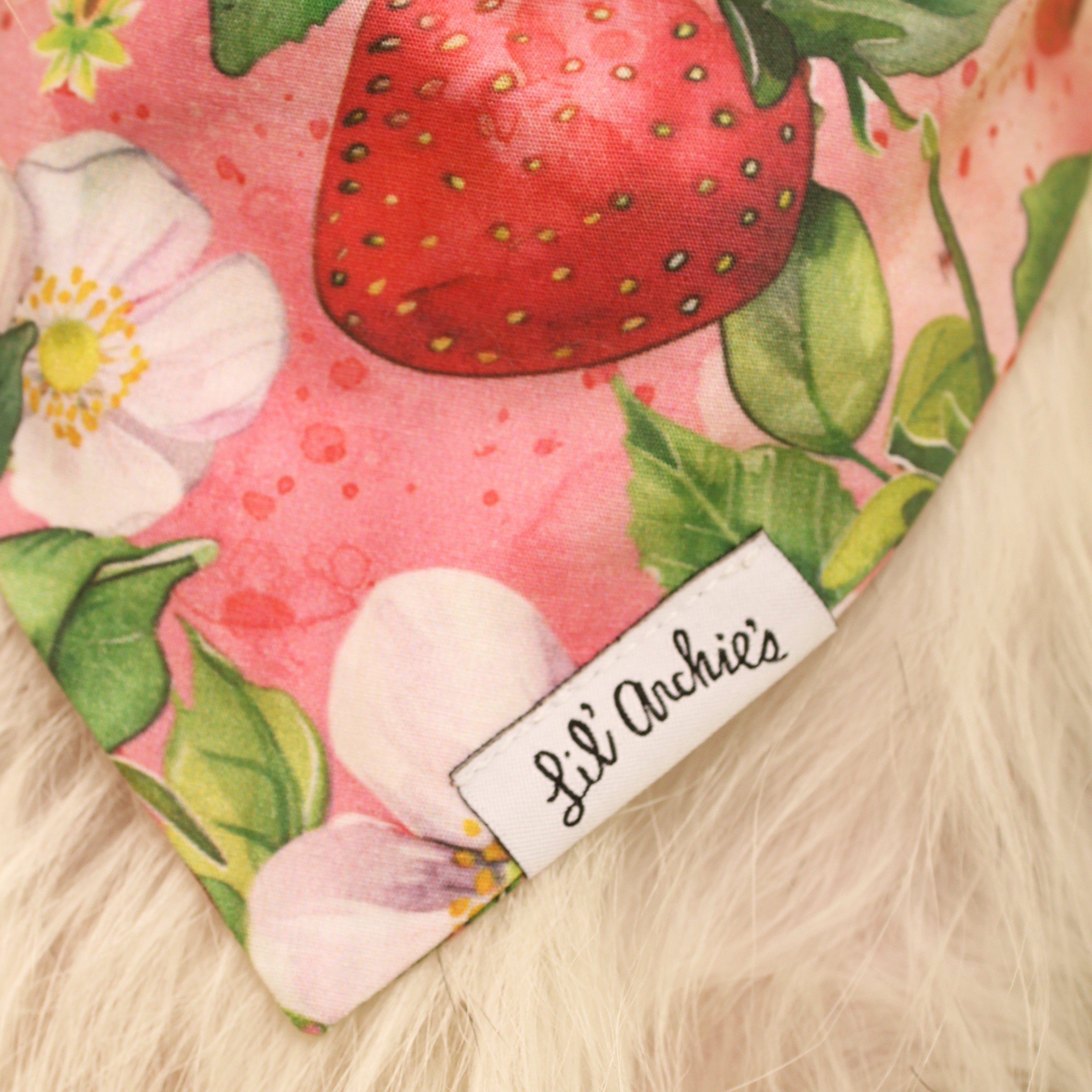 Bloomin' Strawberries - Dog Bandana
