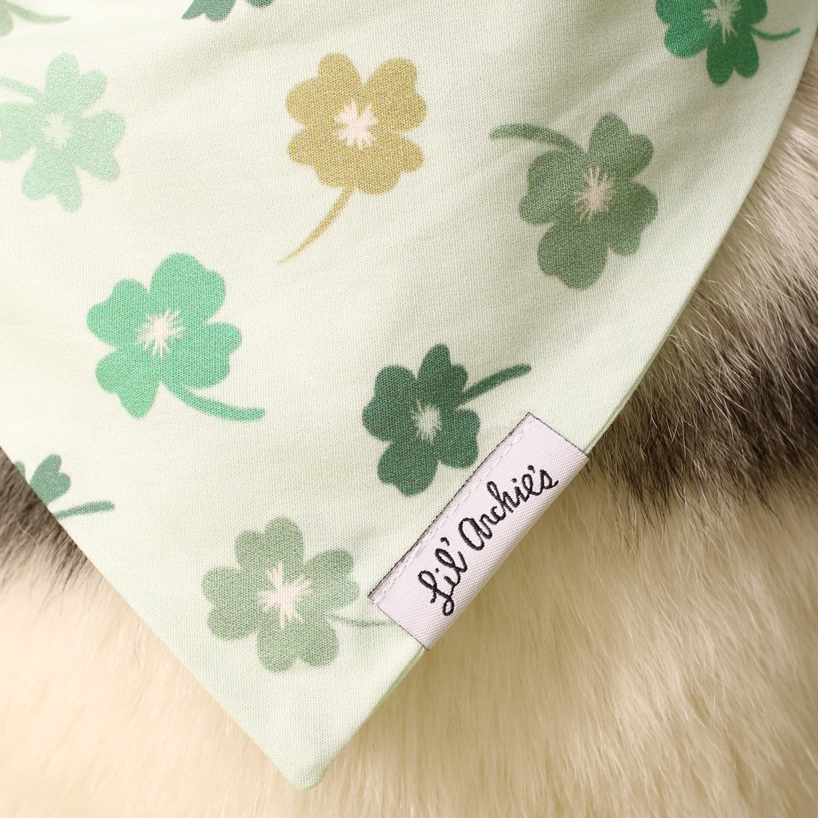Clover Rain- Dog Bandana