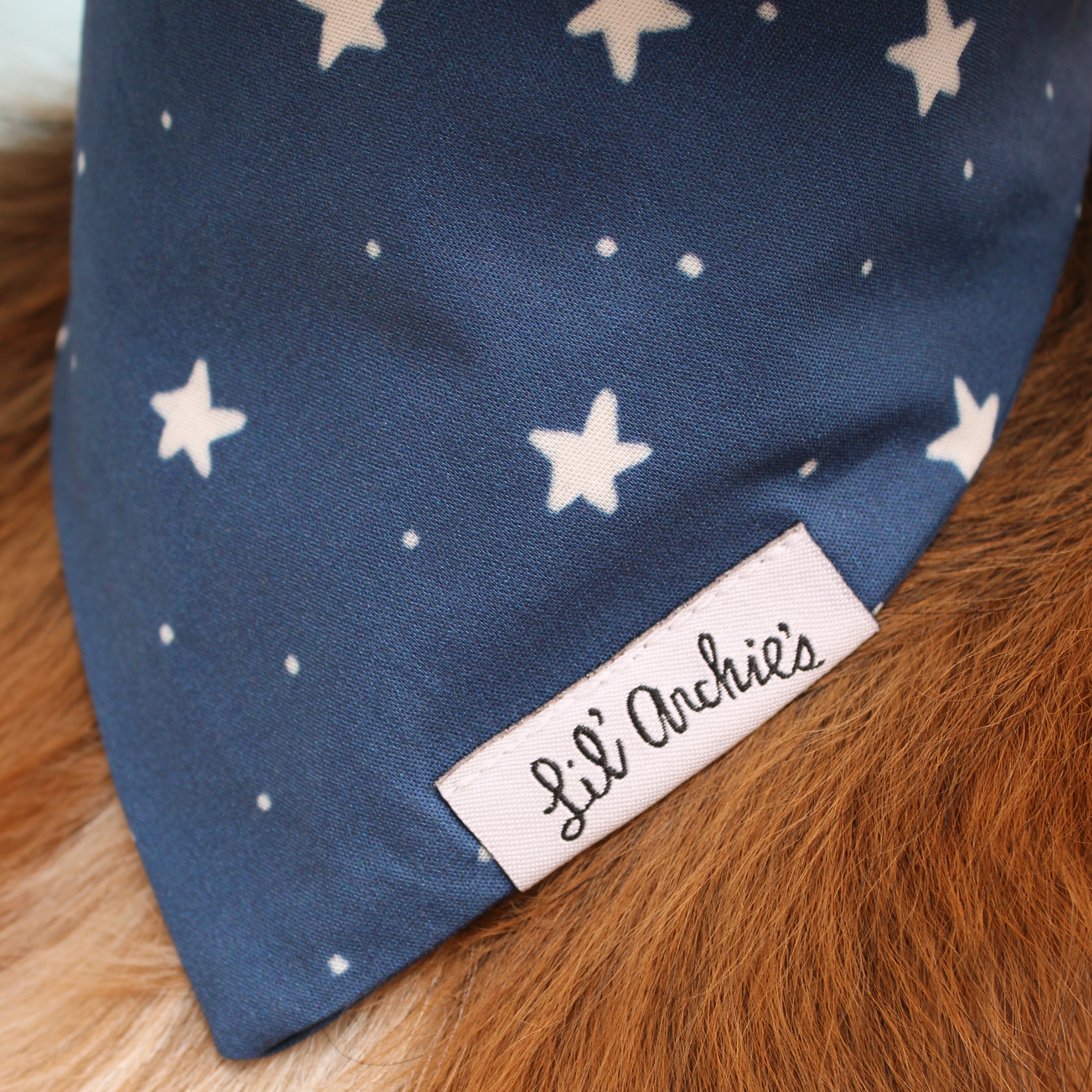 Twinkle - Dog Bandana