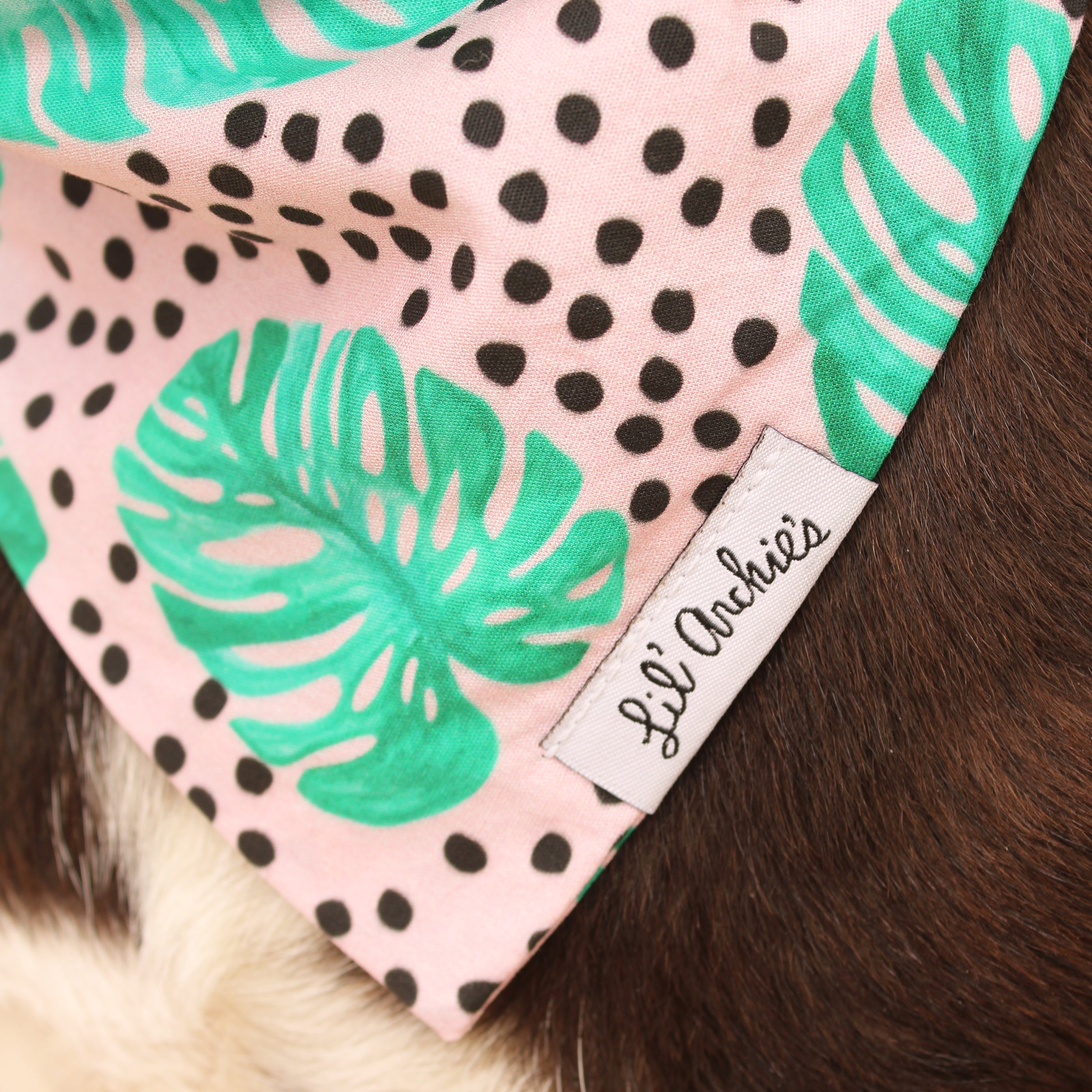 Jungle Fun - Dog Bandana
