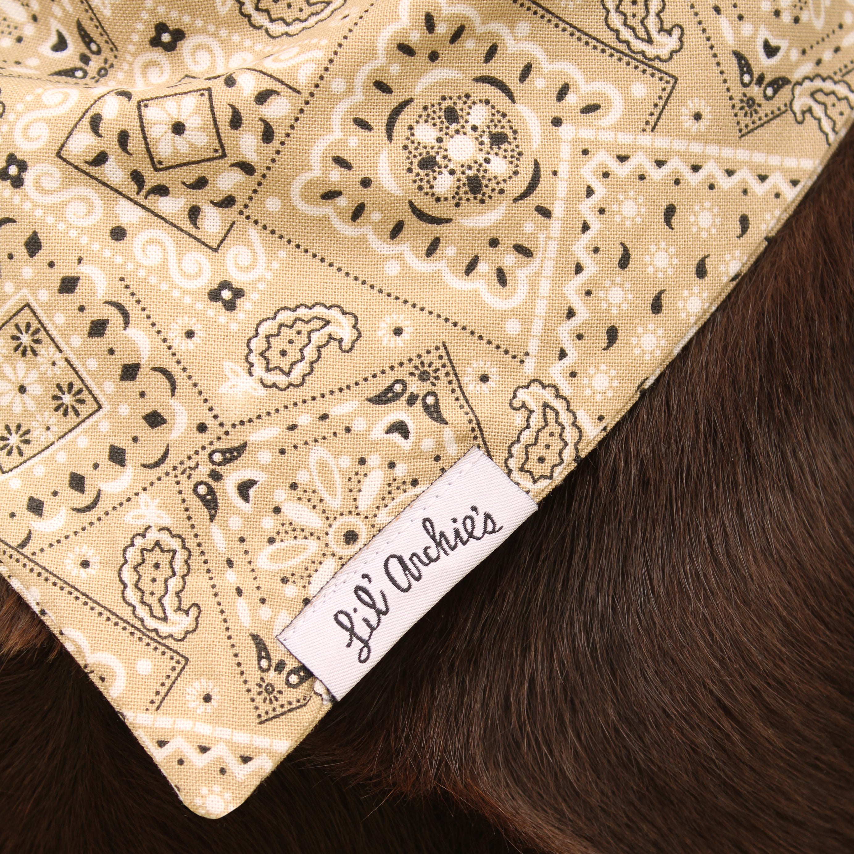 Buckaroo - Dog Bandana