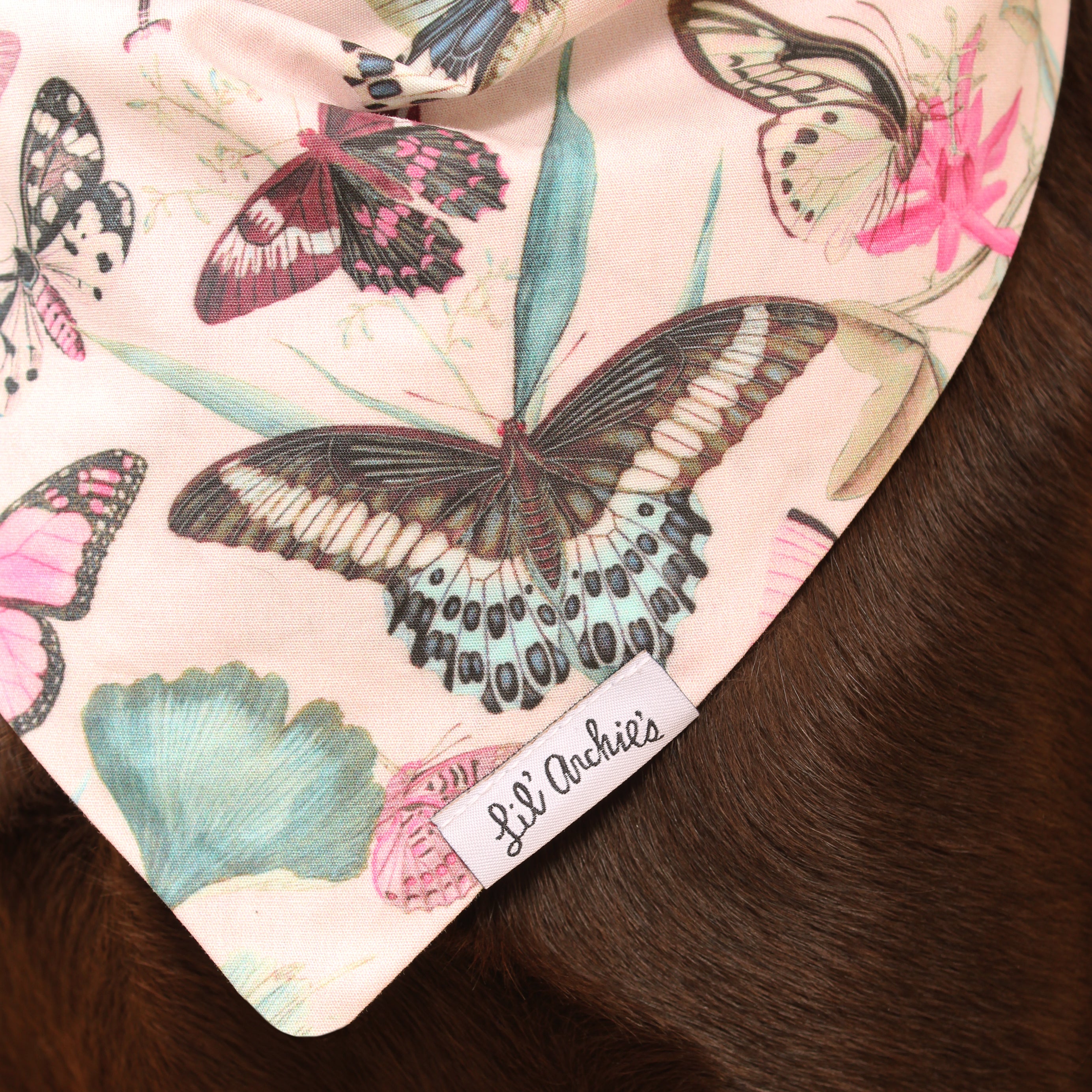 Storm of Butterflies- Dog Bandana