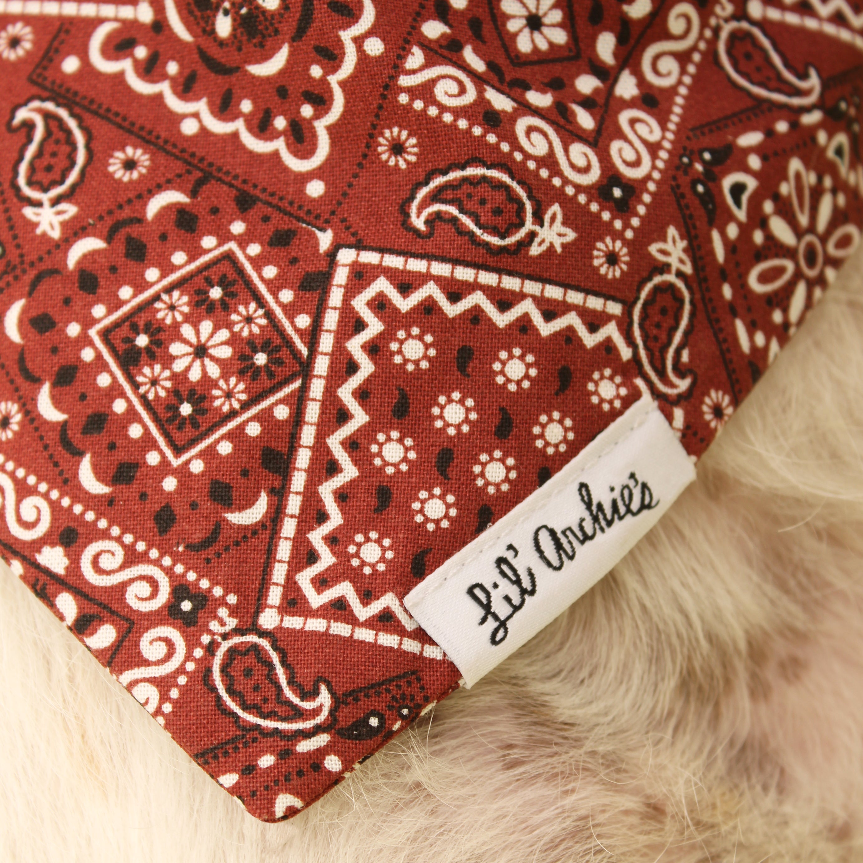 Howdy- Dog Bandana