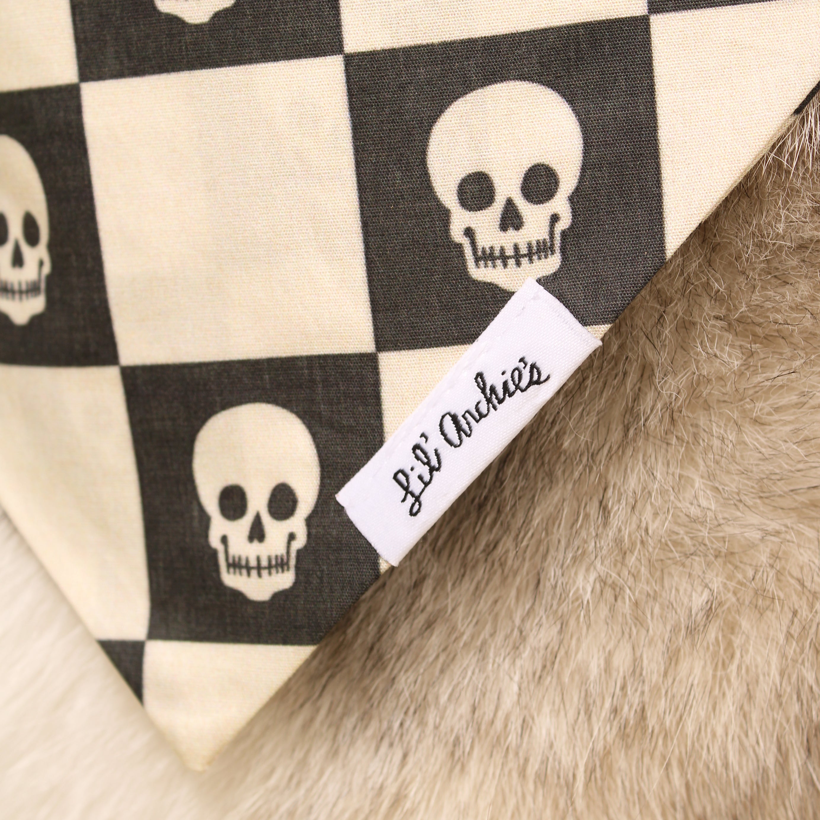 Skull Punk- Dog Bandana