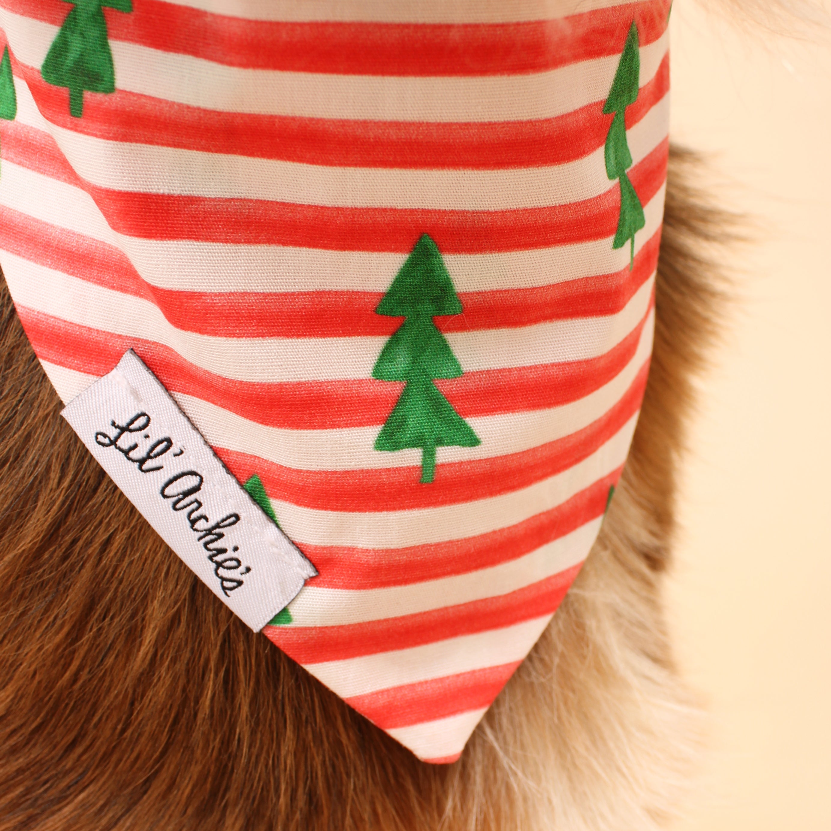 Holiday Stripe - Dog Bandana
