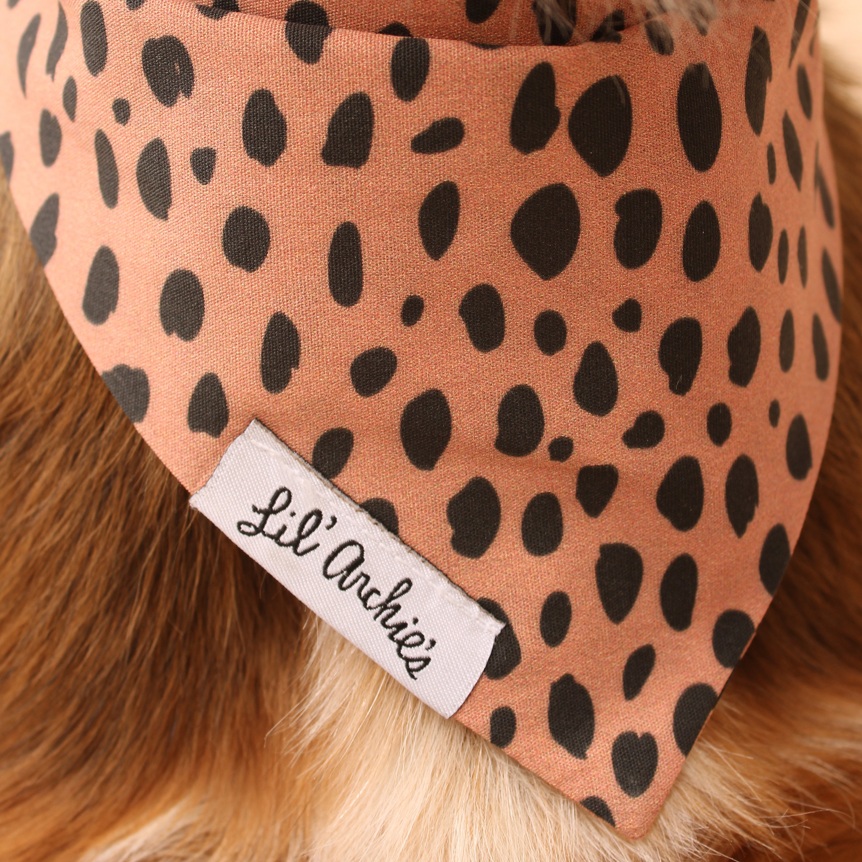 Modern Jungle - Dog Bandana