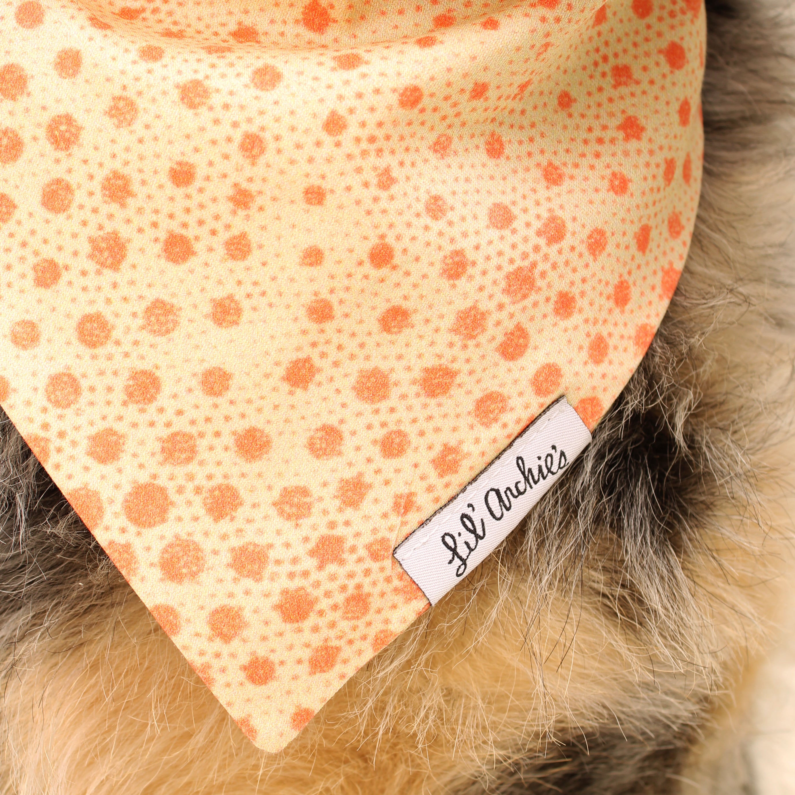 Sun Spot- Dog Bandana