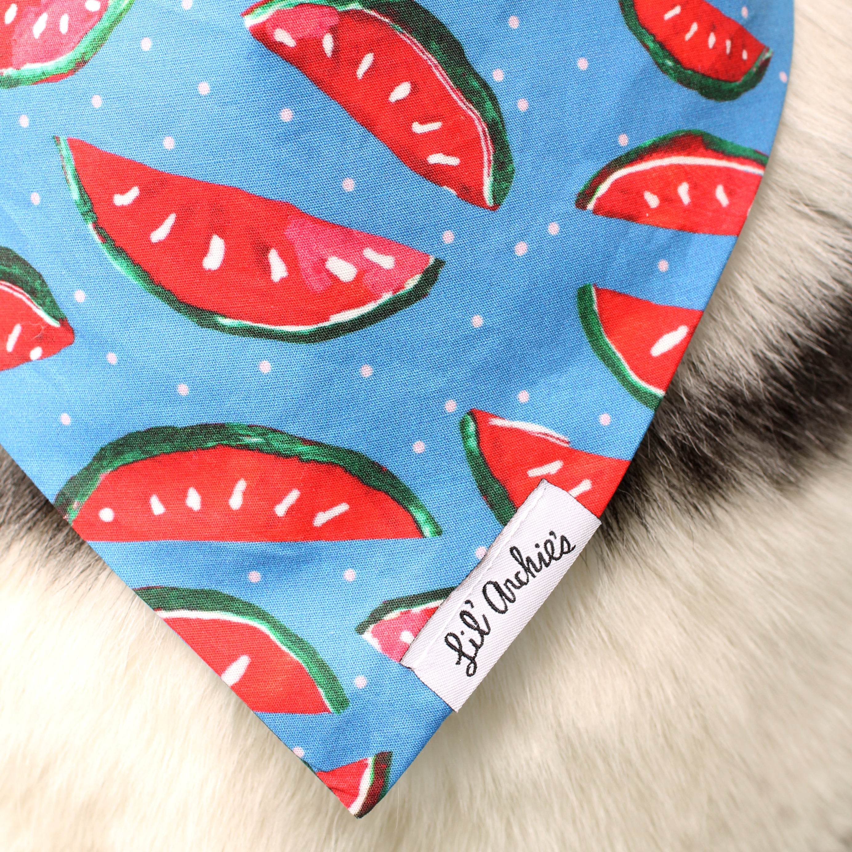 Spittin' Seeds - Dog Bandana