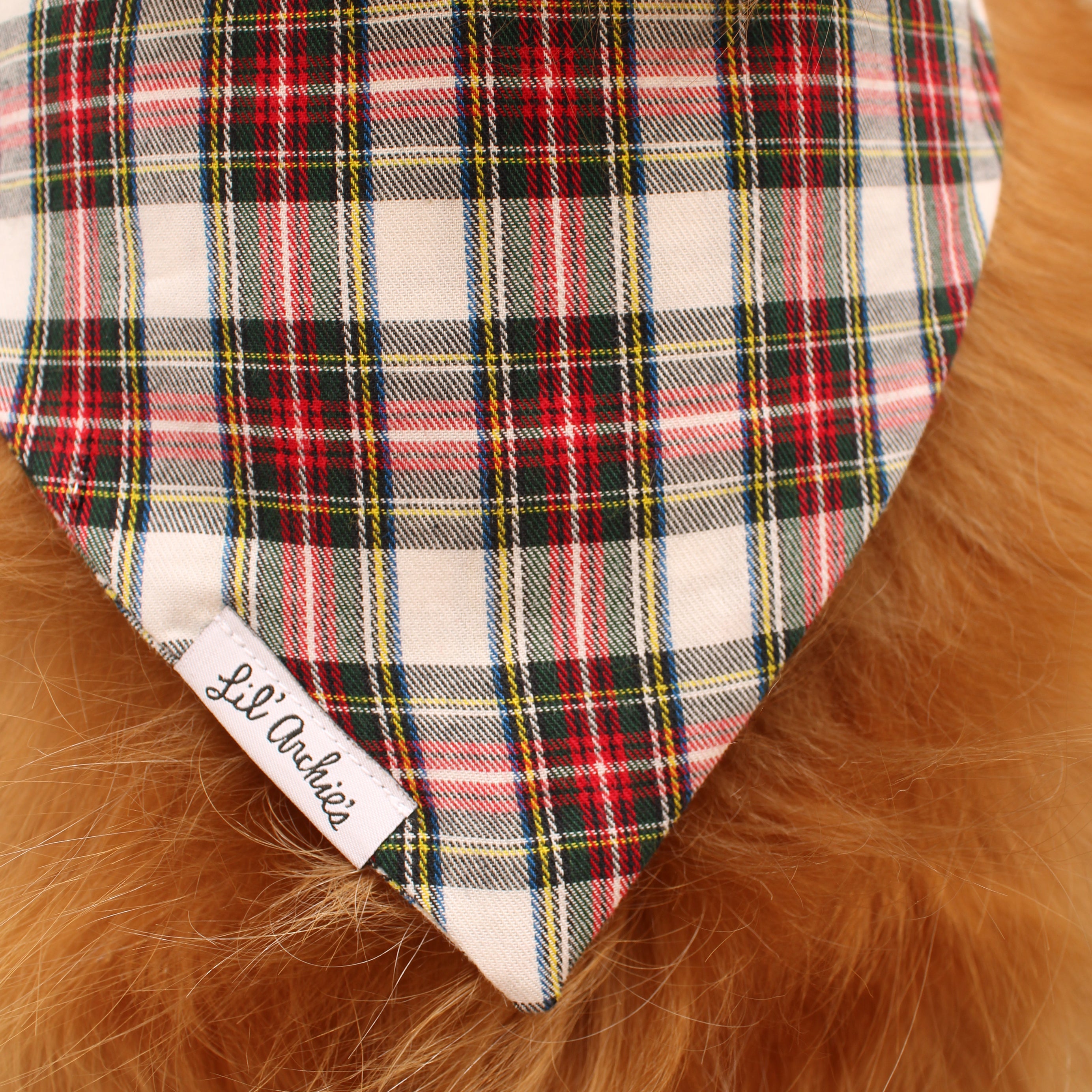 Talisker - Dog Bandana