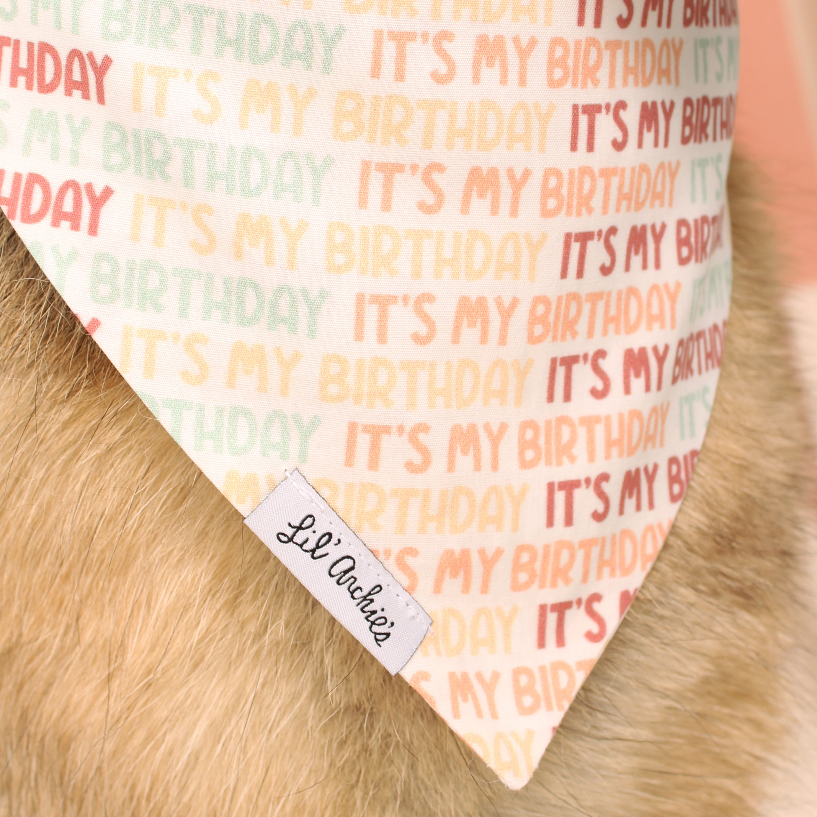 It's My Birthday - Dog Bandana