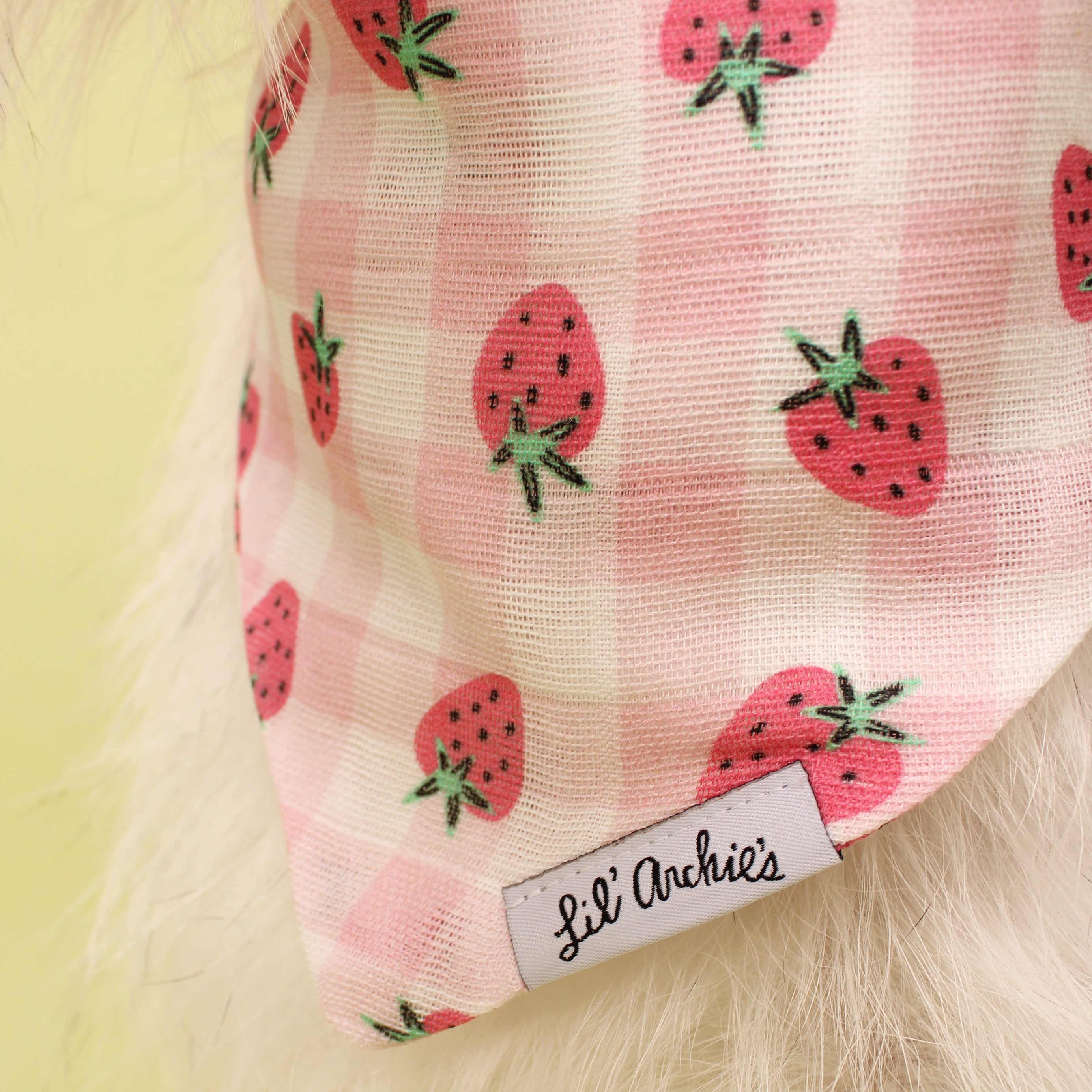 Strawberry Picnic - Dog Bandana