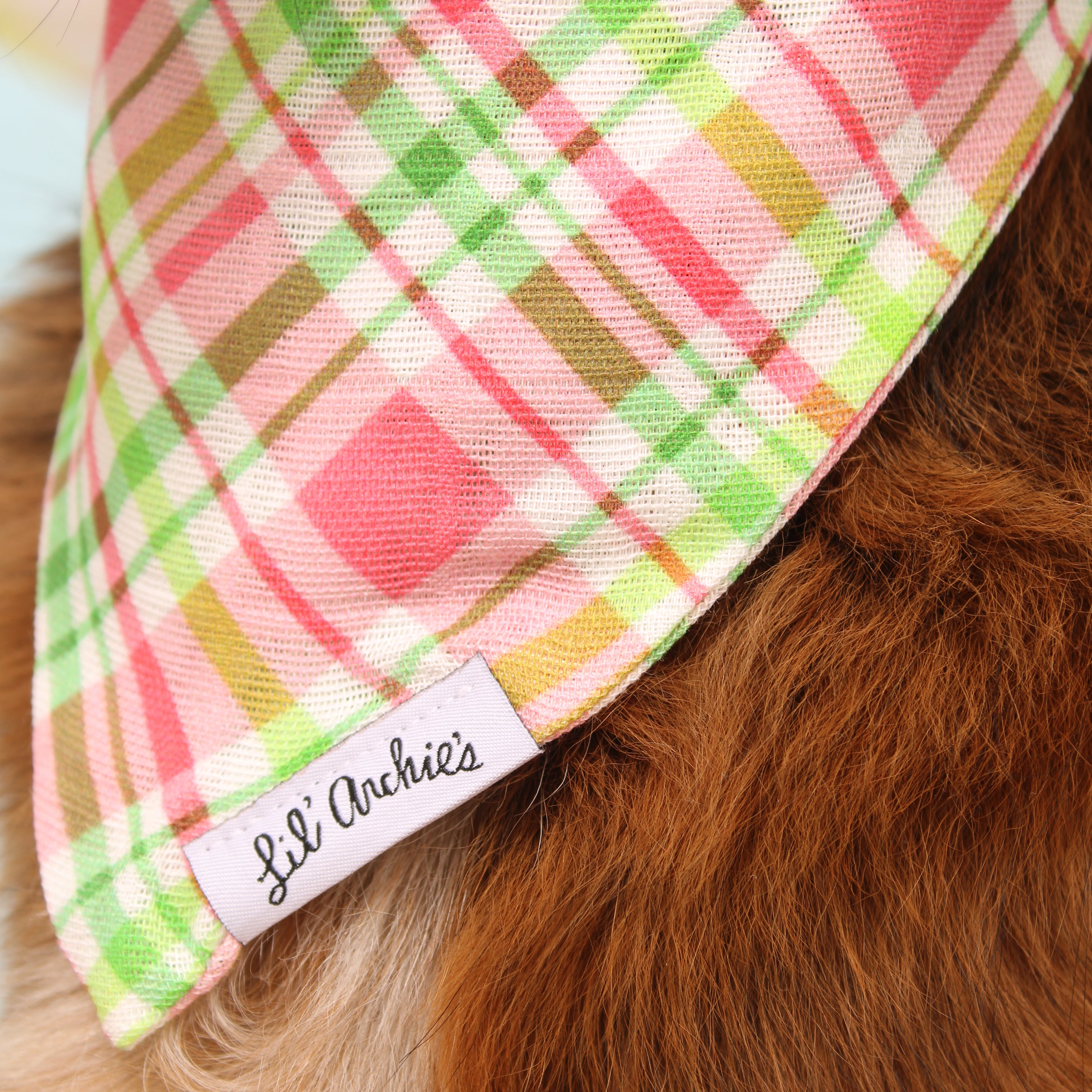 Watermelon Plaid - Dog Bandana
