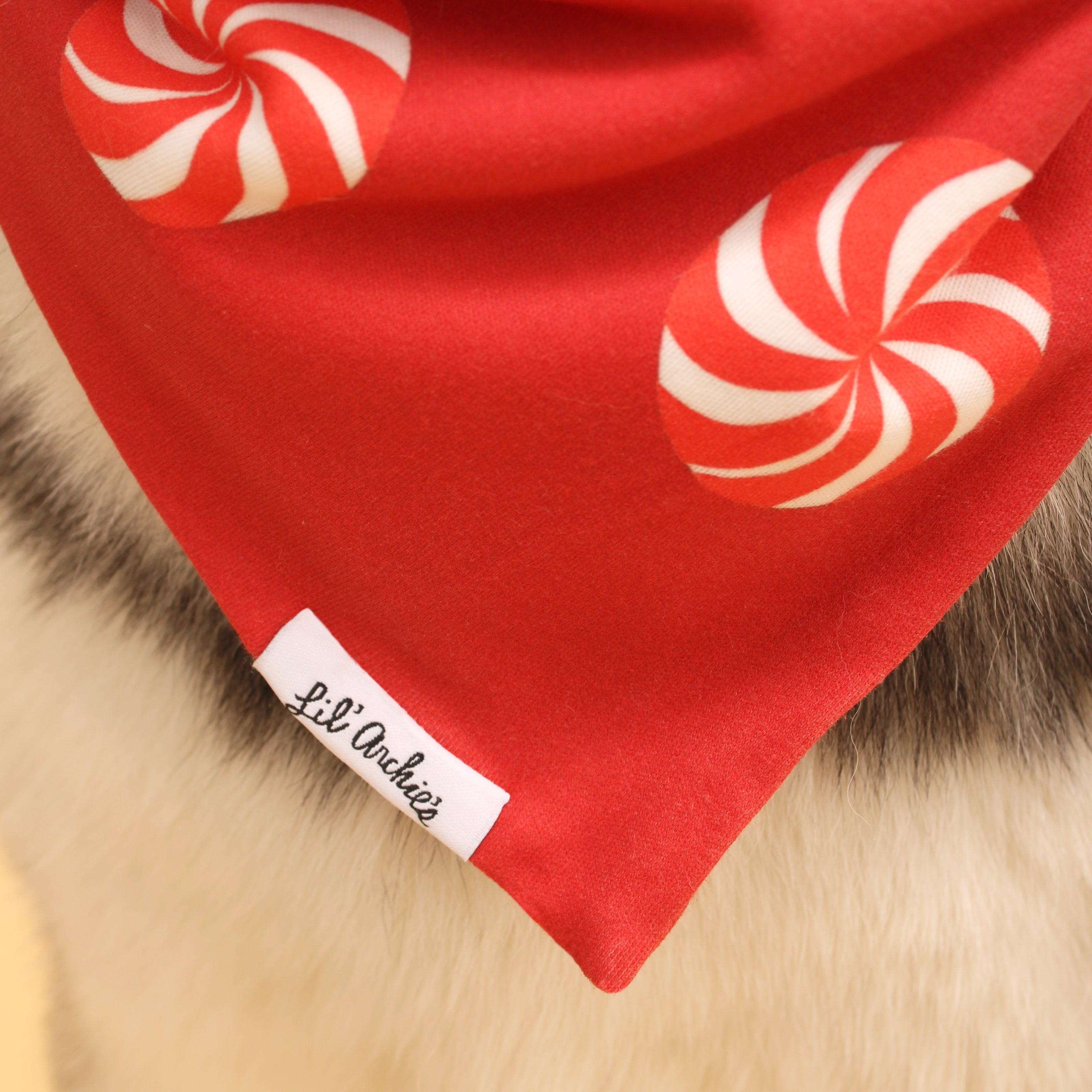 Jumbo Peppermint - Dog Bandana