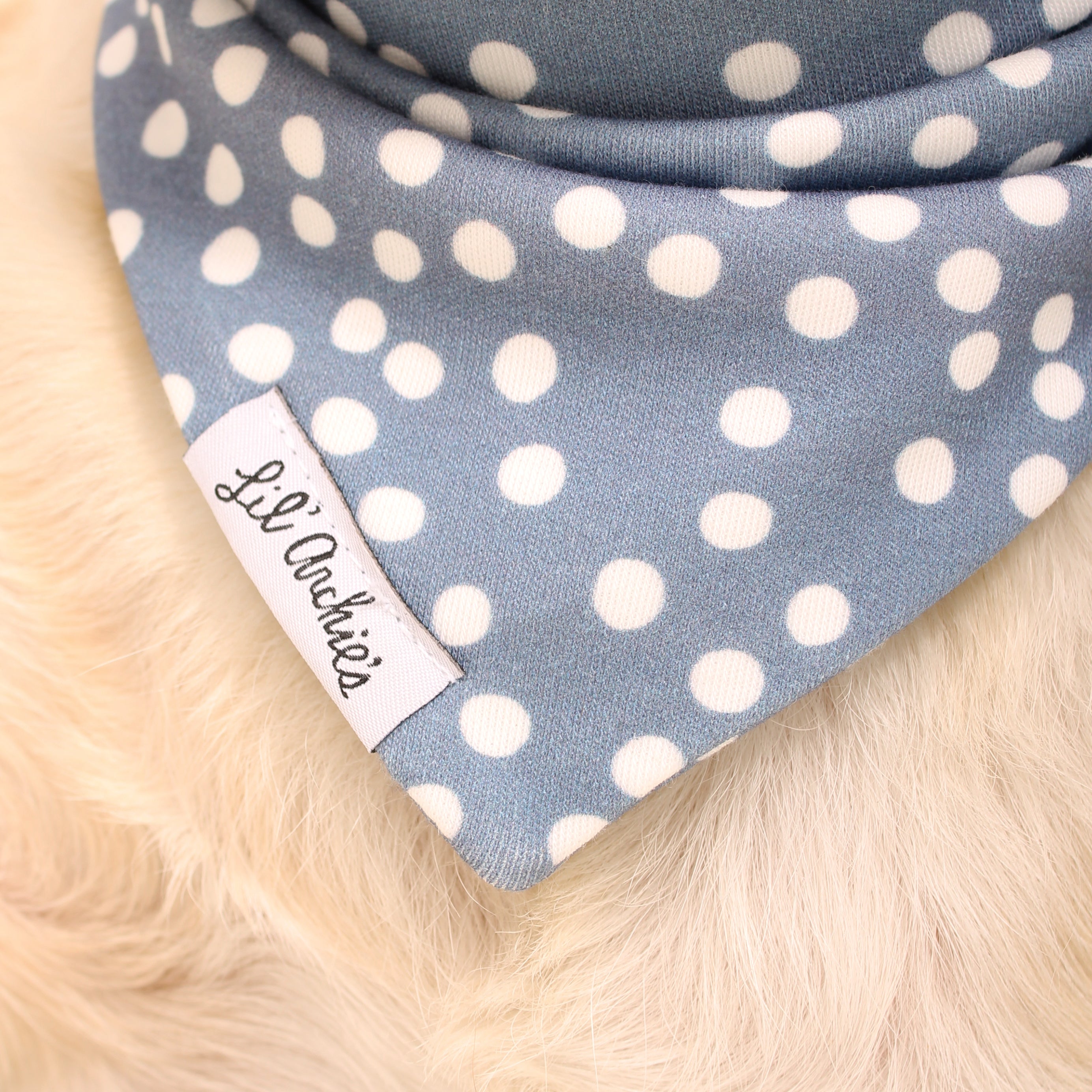 Blueberry Dot - Dog Bandana