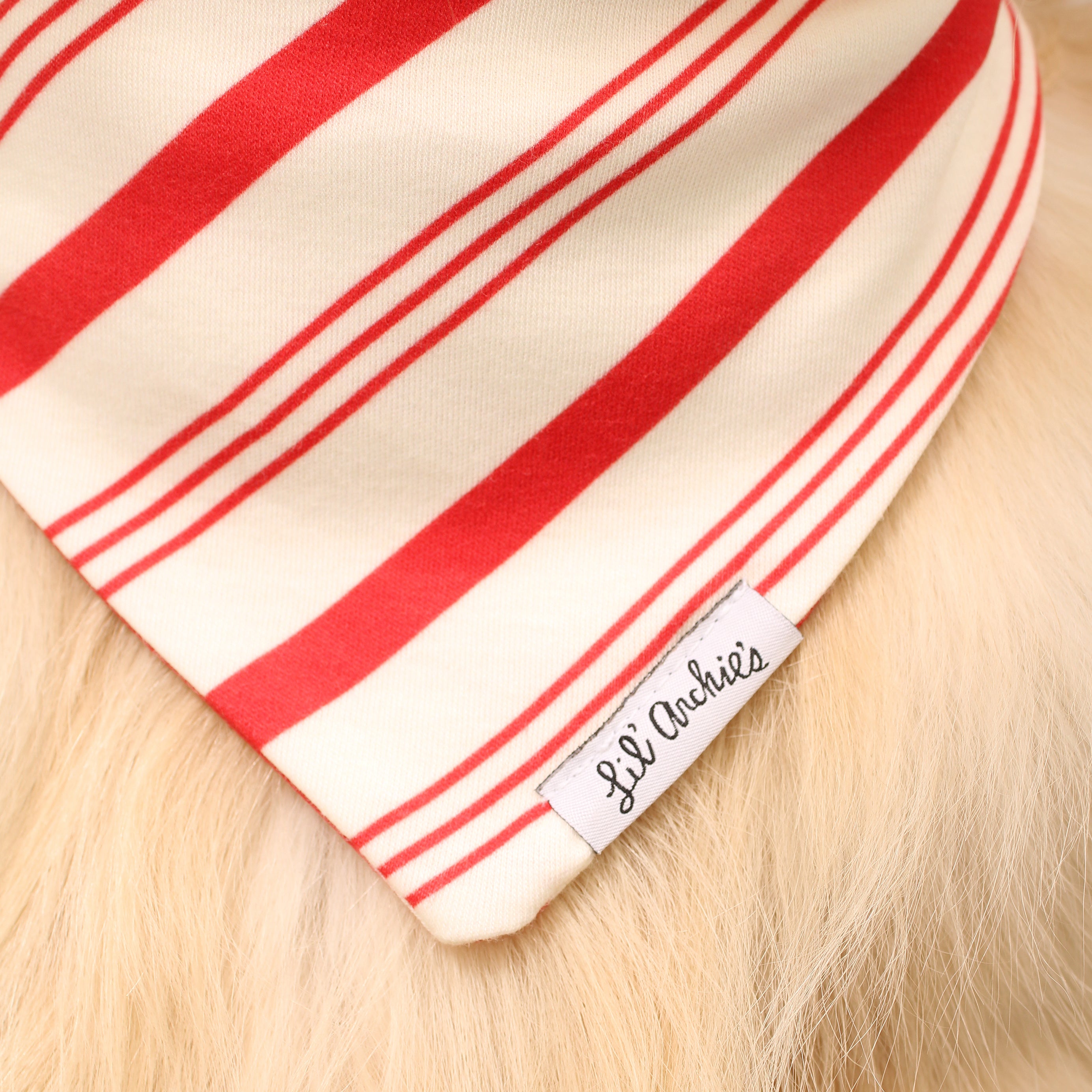 Candy Cane - Holiday Dog Bandana