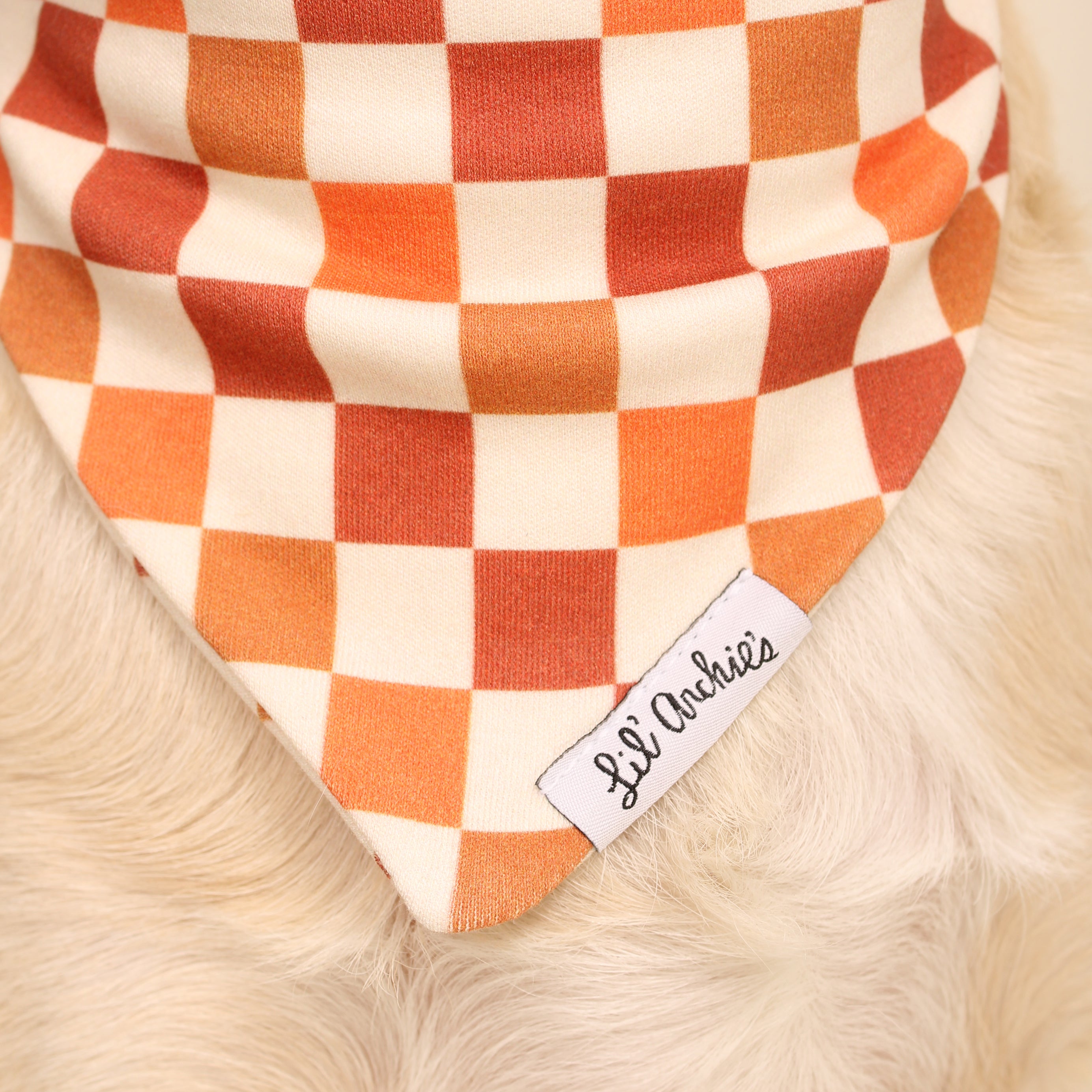 Checked Out - Dog Bandana