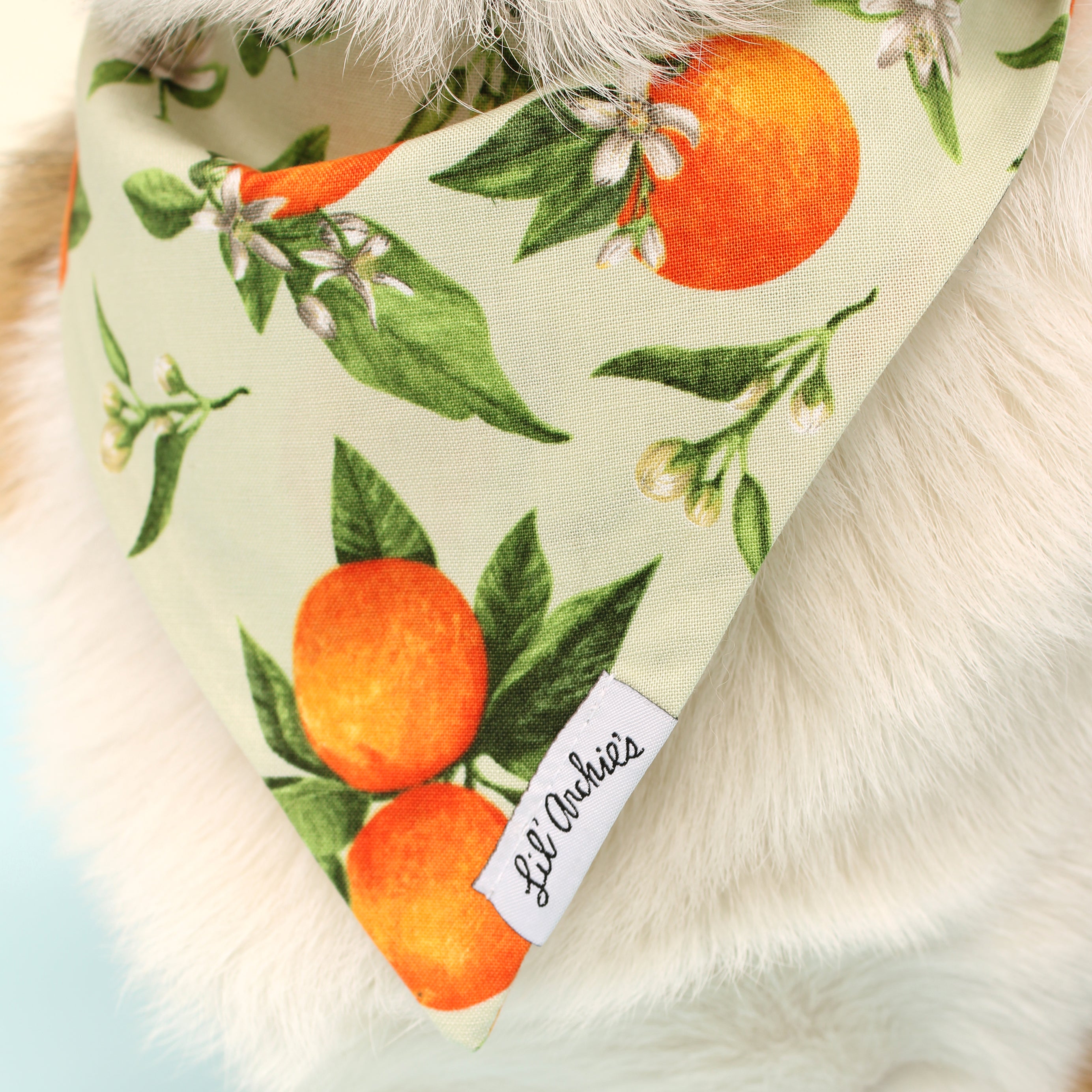 Orange Mint Crush- Slimline Dog Bandana
