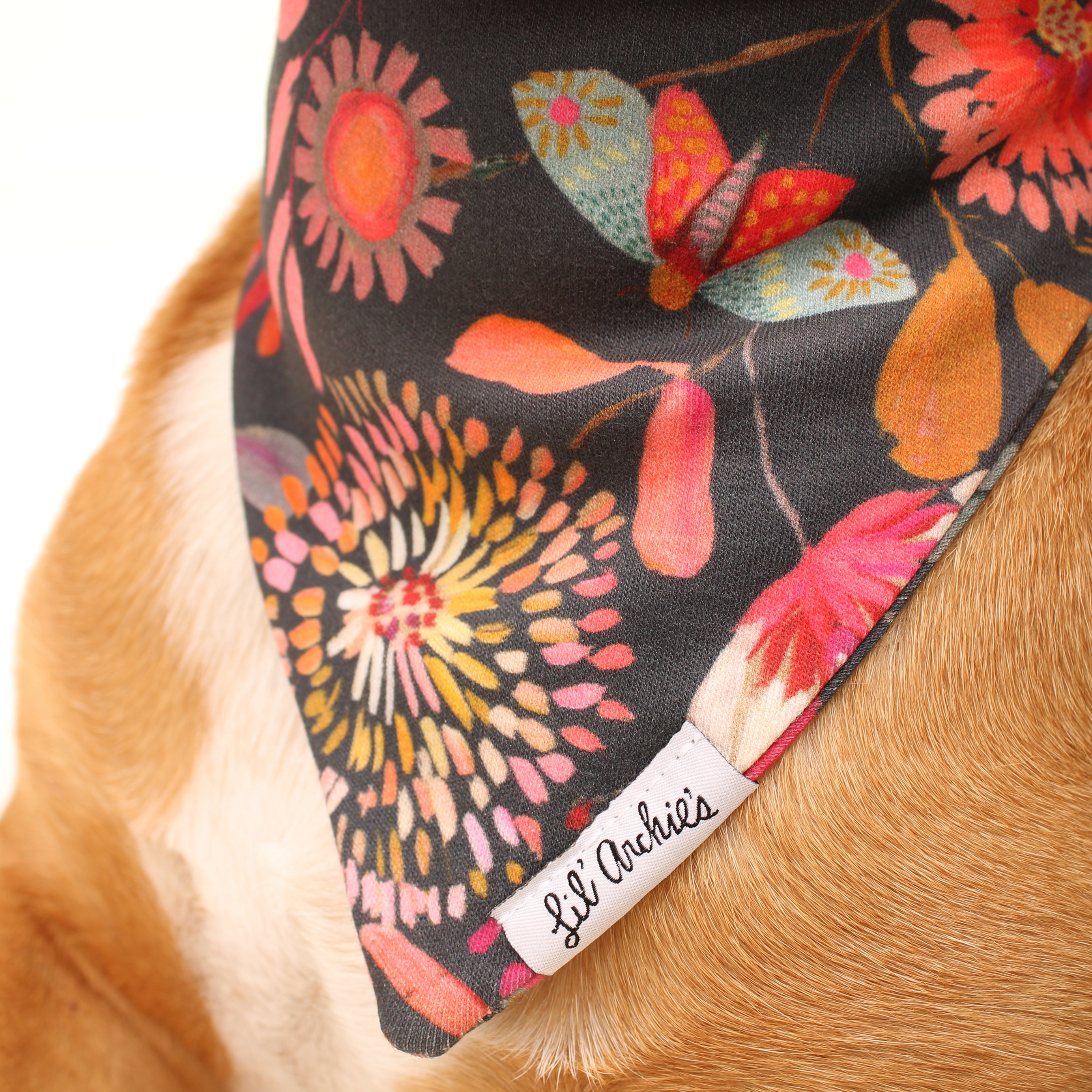 Flora + Fauna - Slimline Dog Bandana