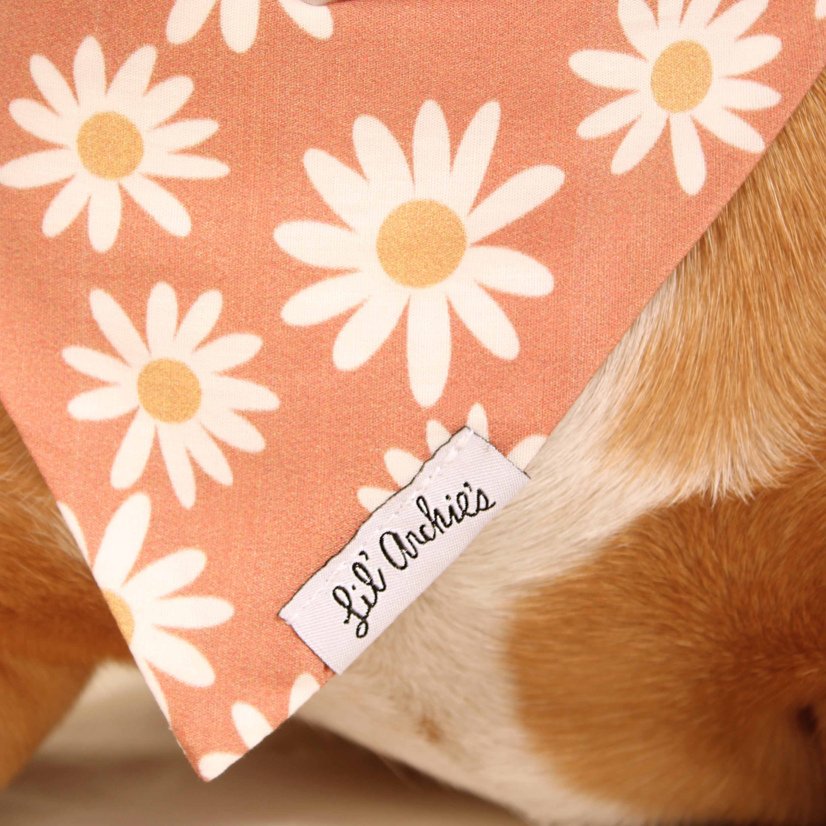 Indie Petals - Slimline Dog Bandana