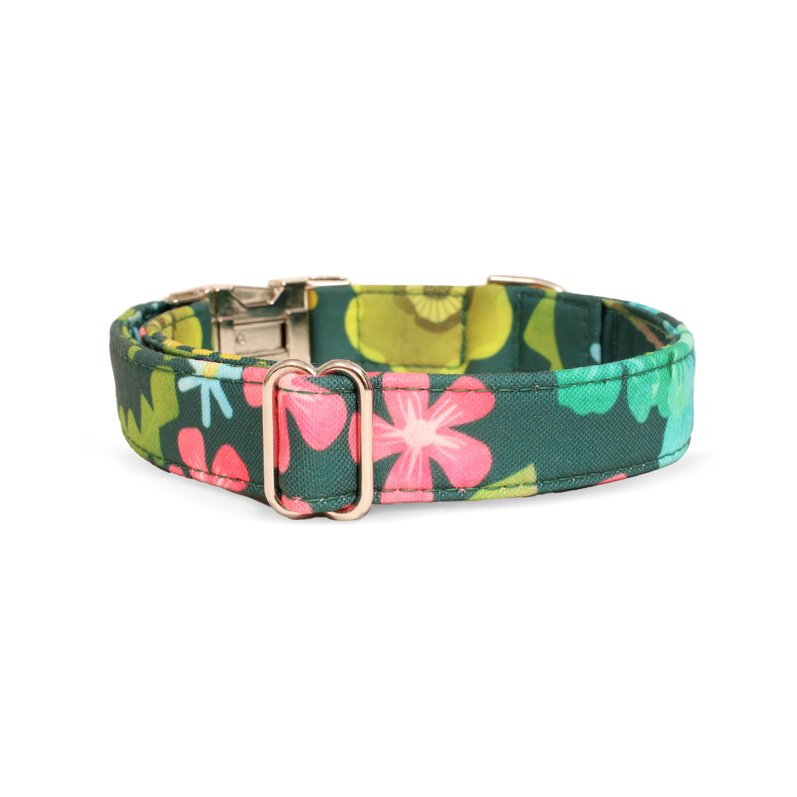 Eden Recycled Dog Collar