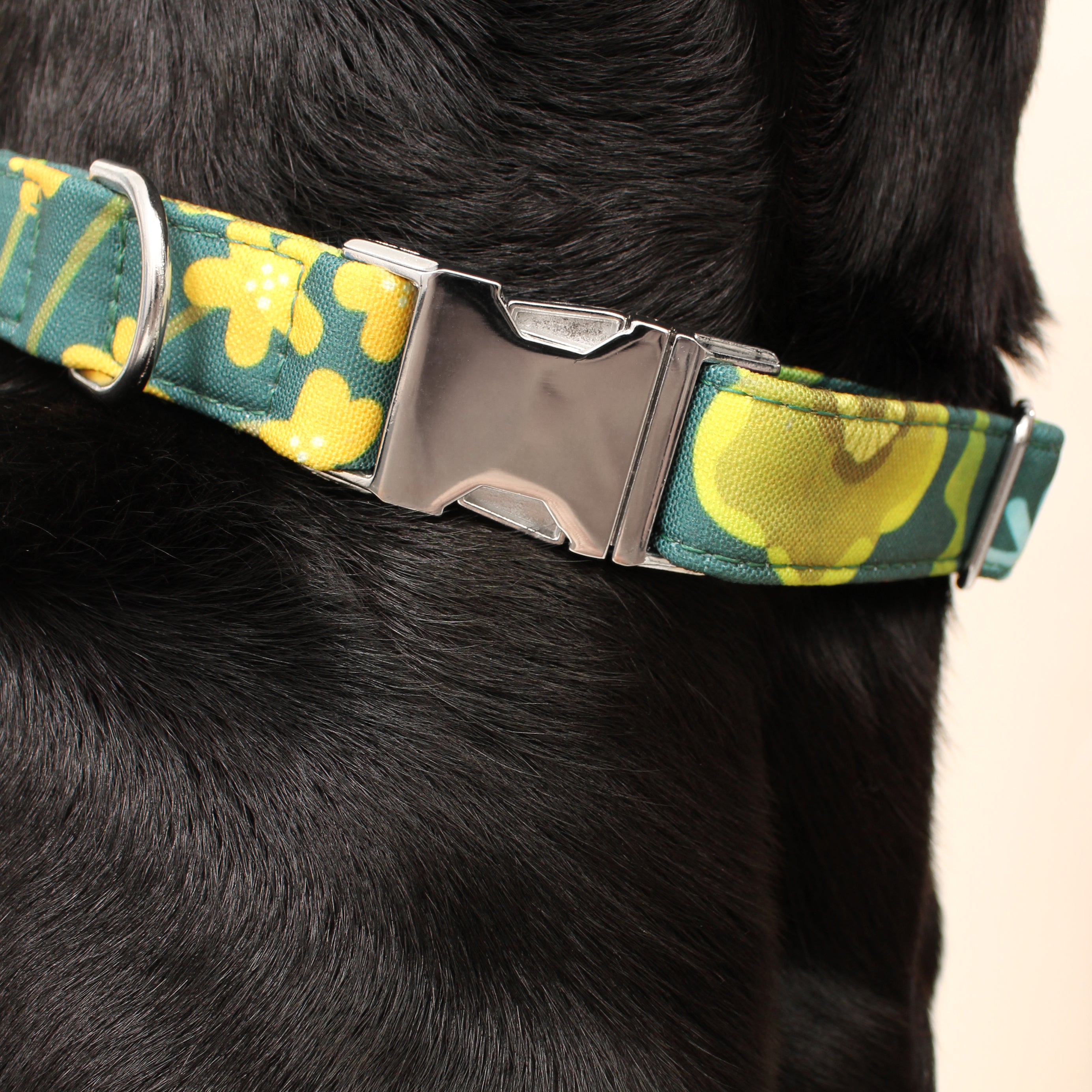 Eden Recycled Dog Collar
