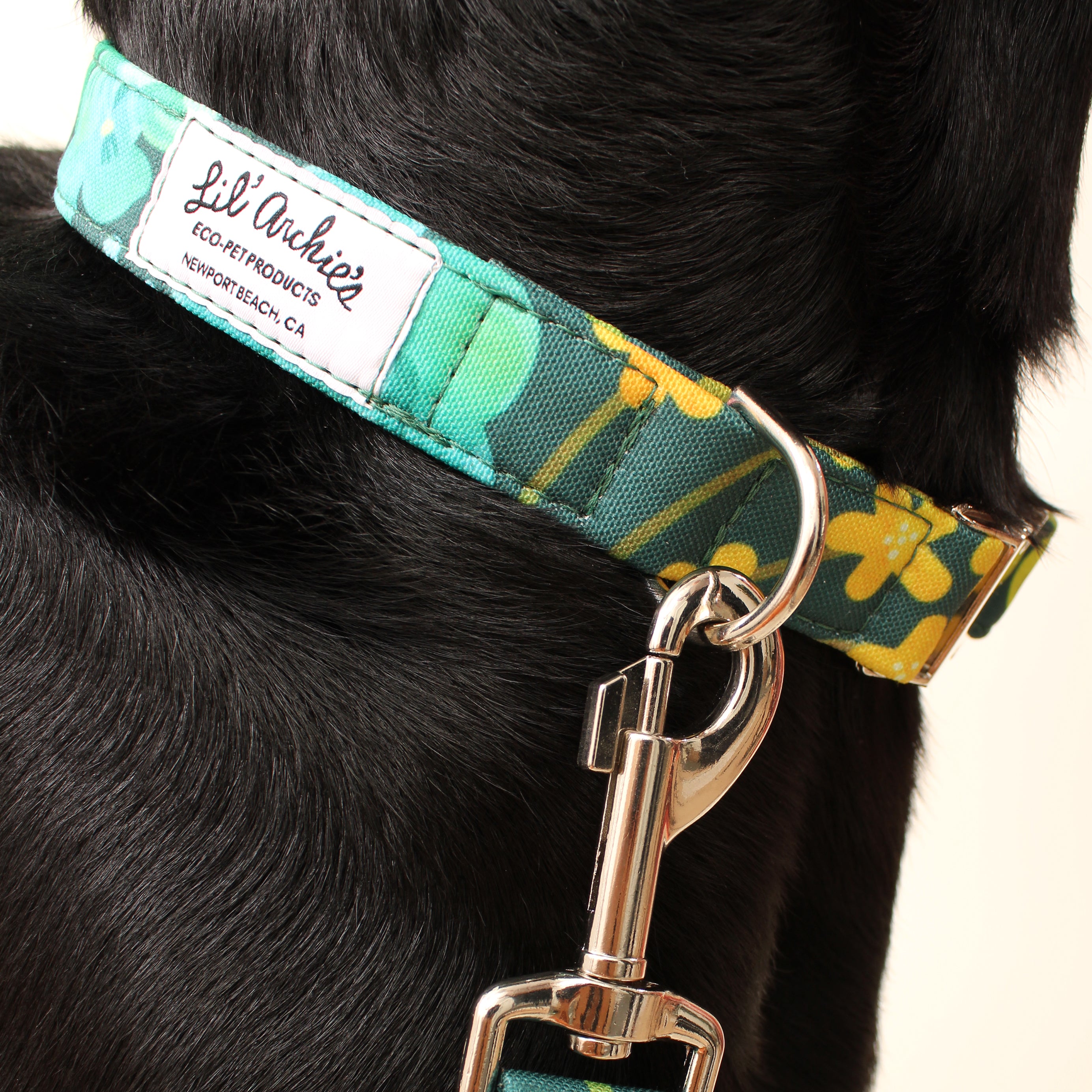 Eden Recycled Dog Collar