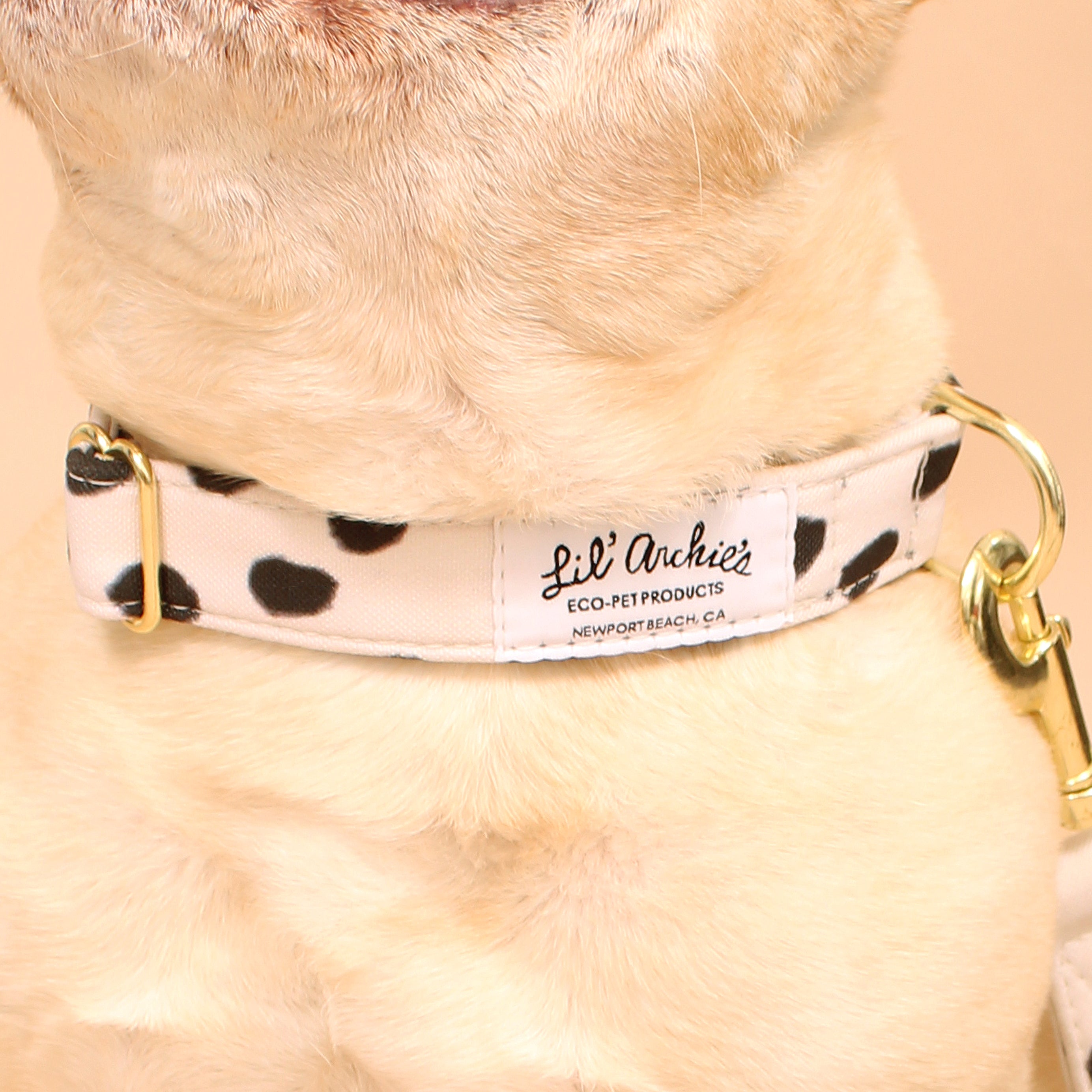 San Francisco Recycled Dog Collar